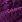 Bright Purple