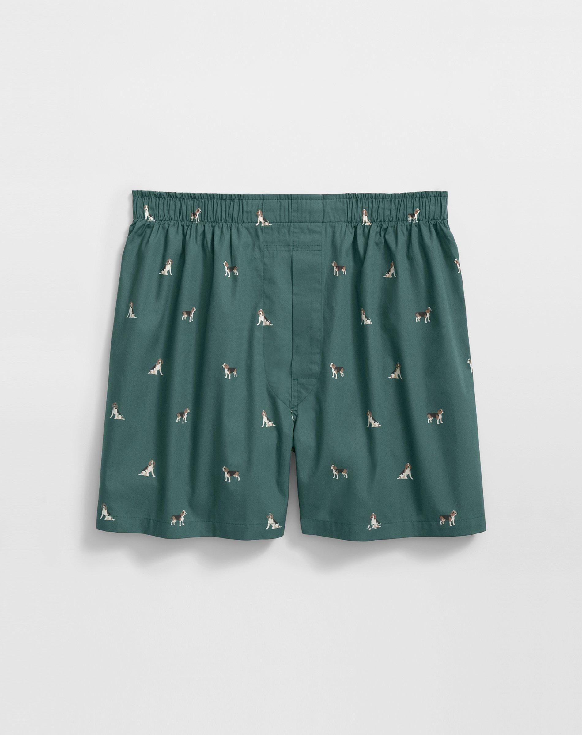 Brooks Brothers Cotton Broadcloth Beagle-pattern Boxers In Green