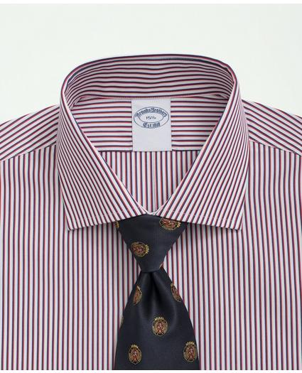 Supima Cotton Poplin English Collar, Striped Dress Shirt