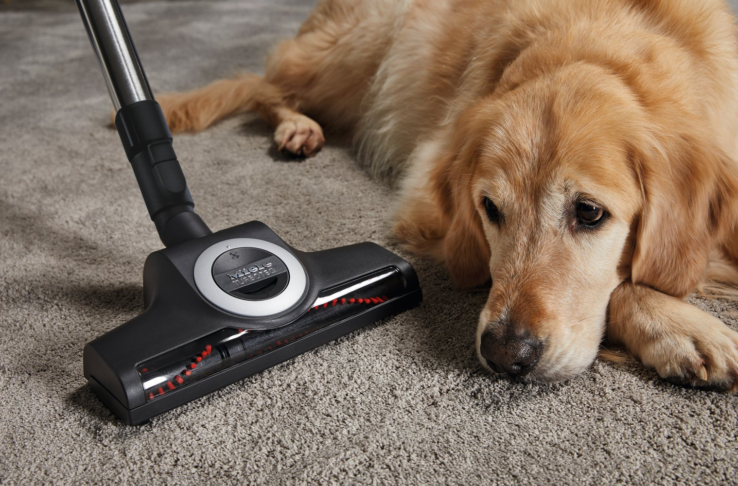 http://cdn.media.amplience.net/i/euronics/MIEC3FLEX_CAT_DOG_3