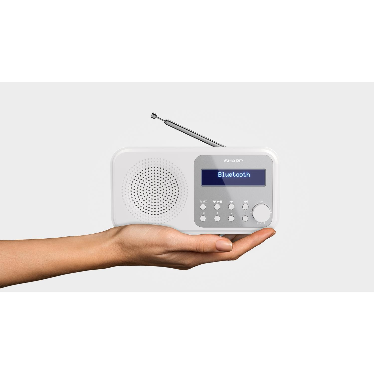 http://cdn.media.amplience.net/i/euronics/SHPDRP420WH_4