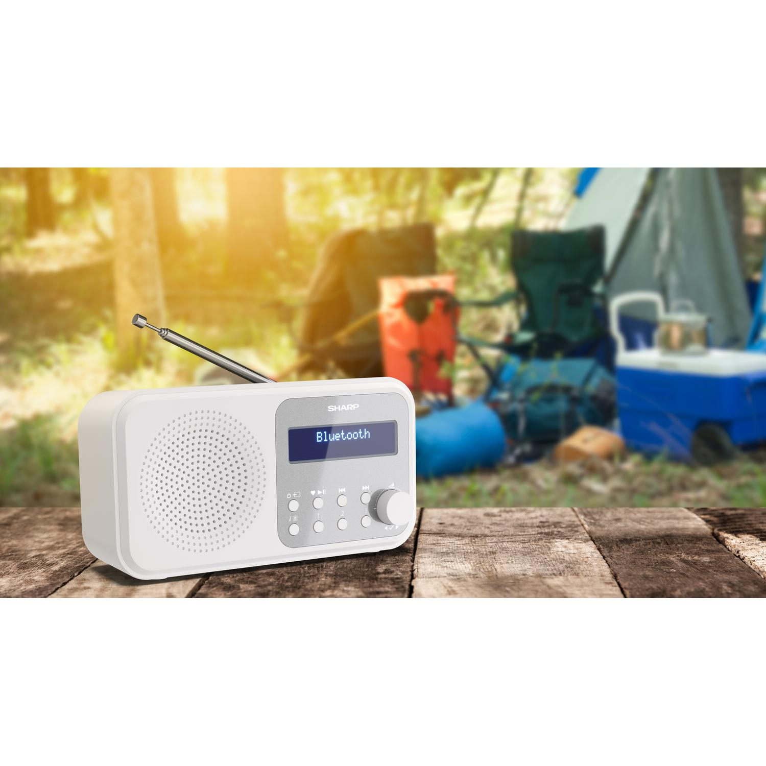 http://cdn.media.amplience.net/i/euronics/SHPDRP420WH_5