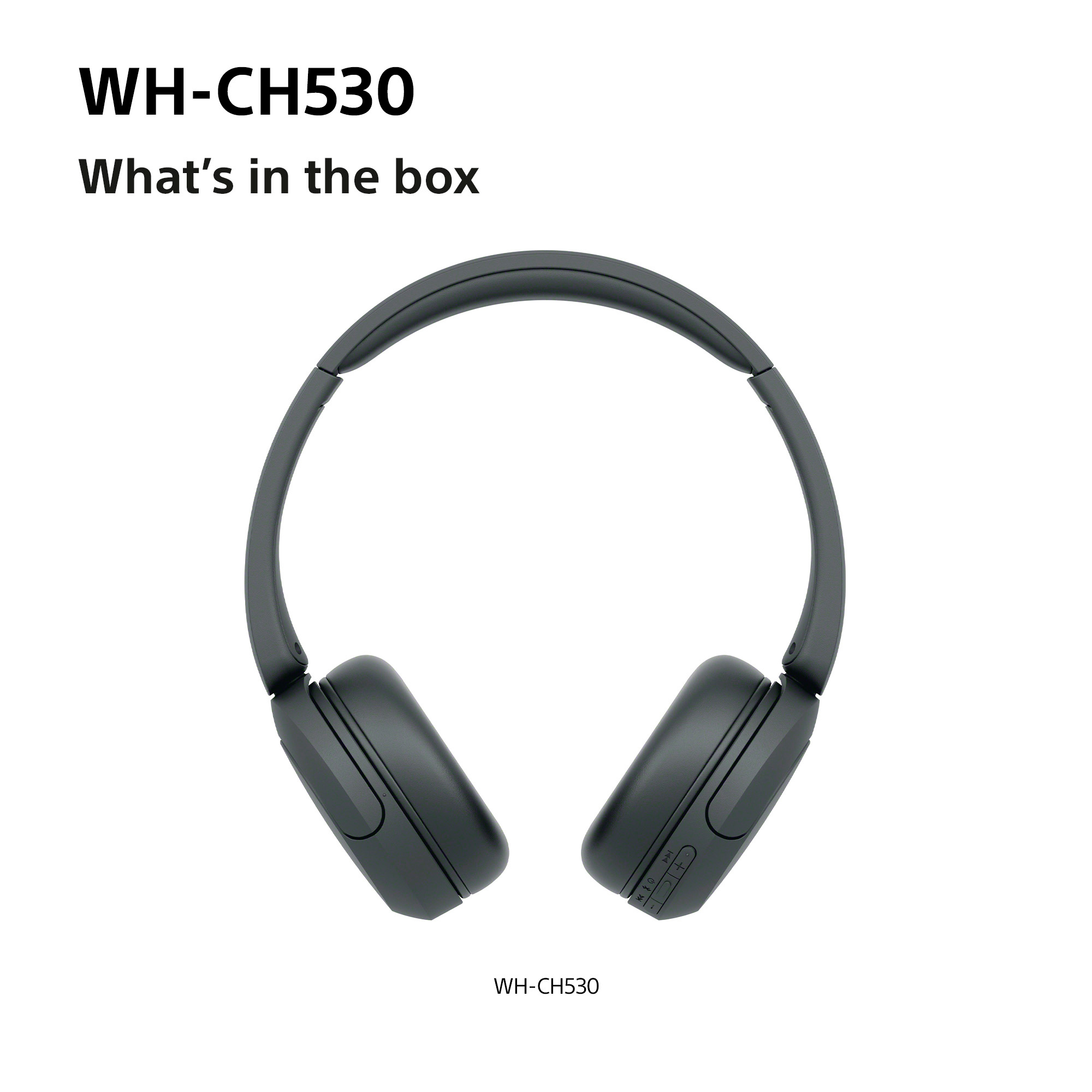 http://cdn.media.amplience.net/i/euronics/SONWHCH530BCE7_7
