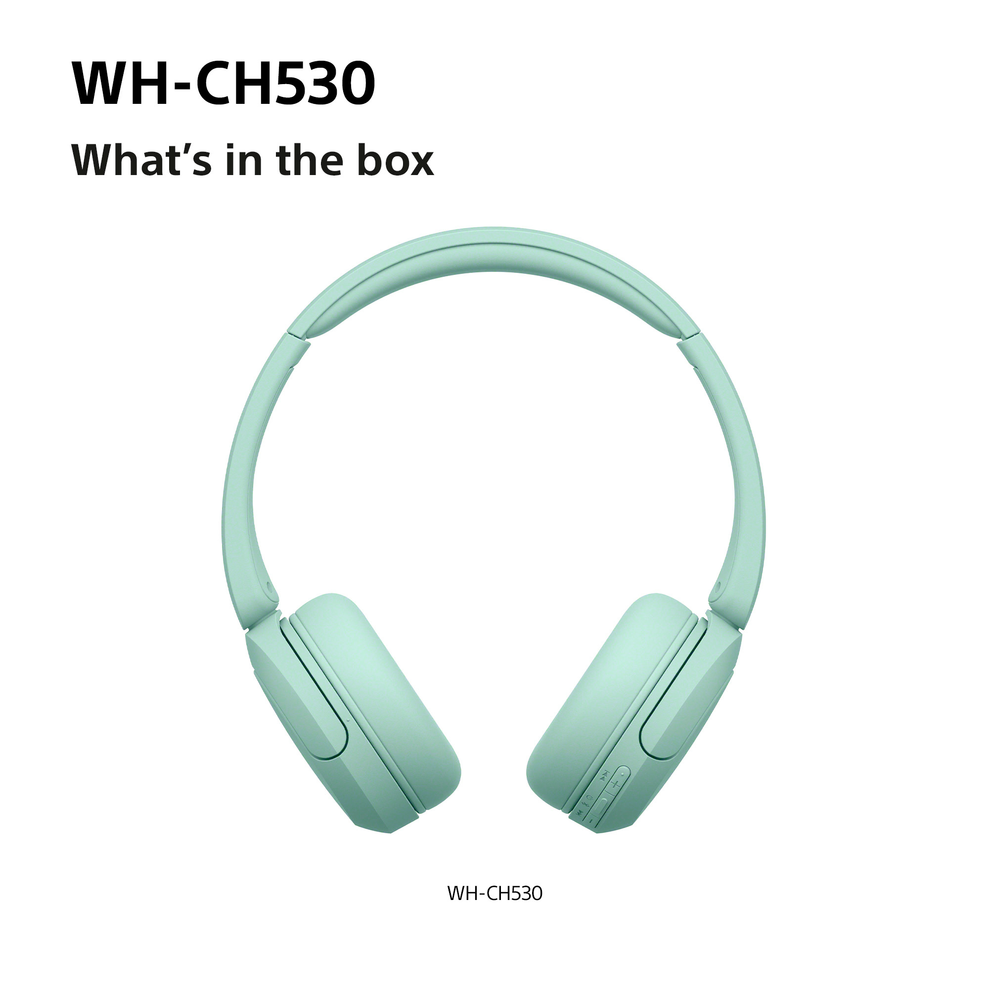 http://cdn.media.amplience.net/i/euronics/SONWHCH530GCE7_8