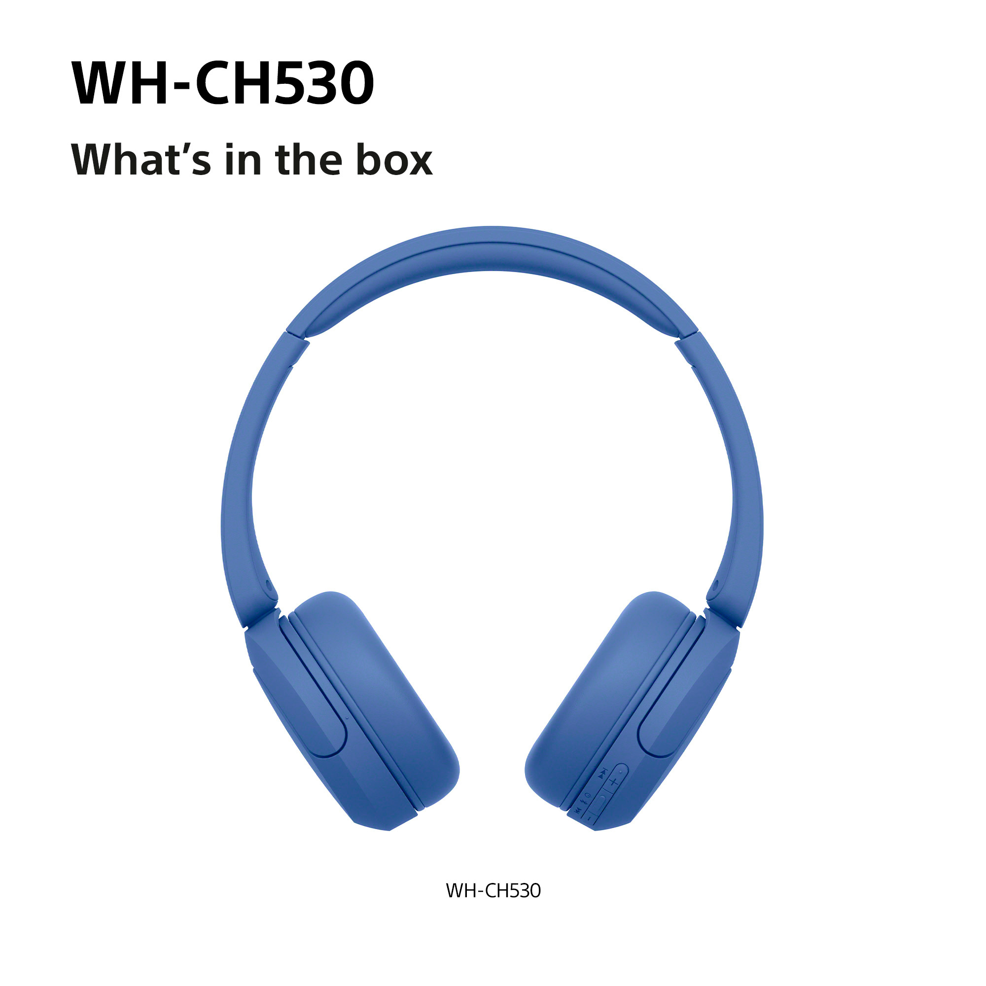 http://cdn.media.amplience.net/i/euronics/SONWHCH530LCE7_4