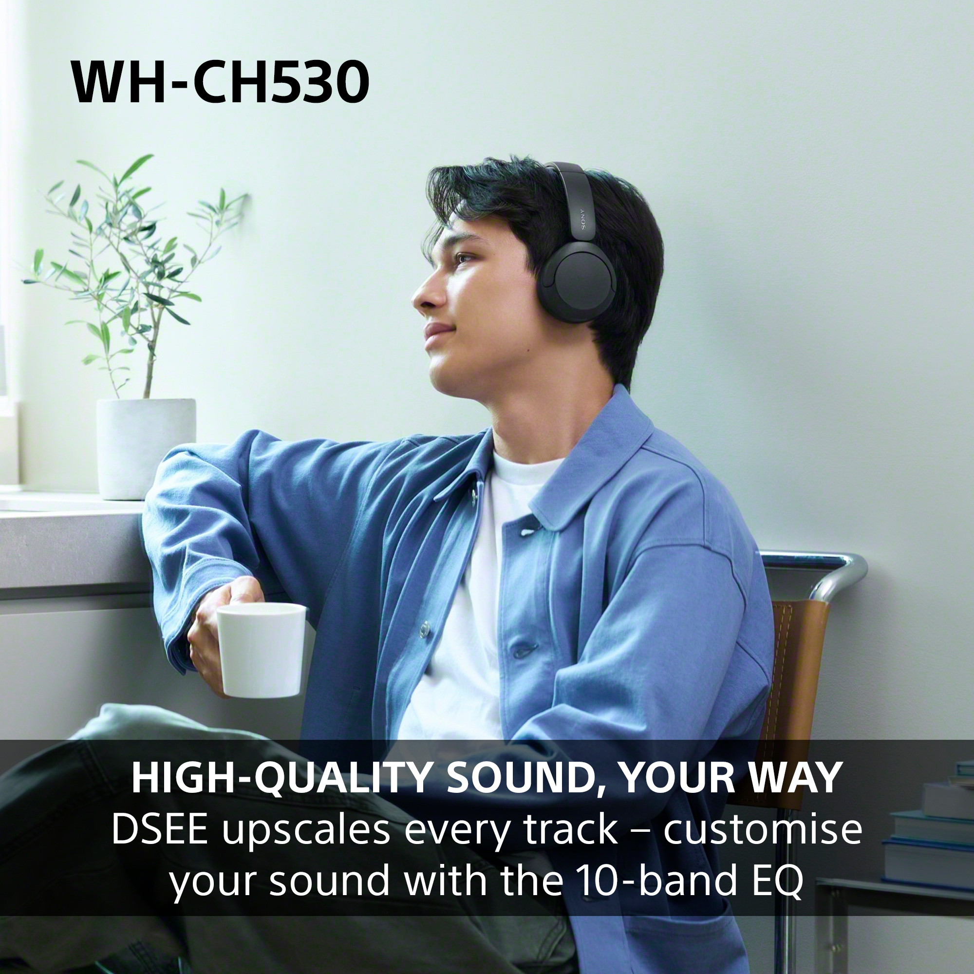 http://cdn.media.amplience.net/i/euronics/SONWHCH530LCE7_9