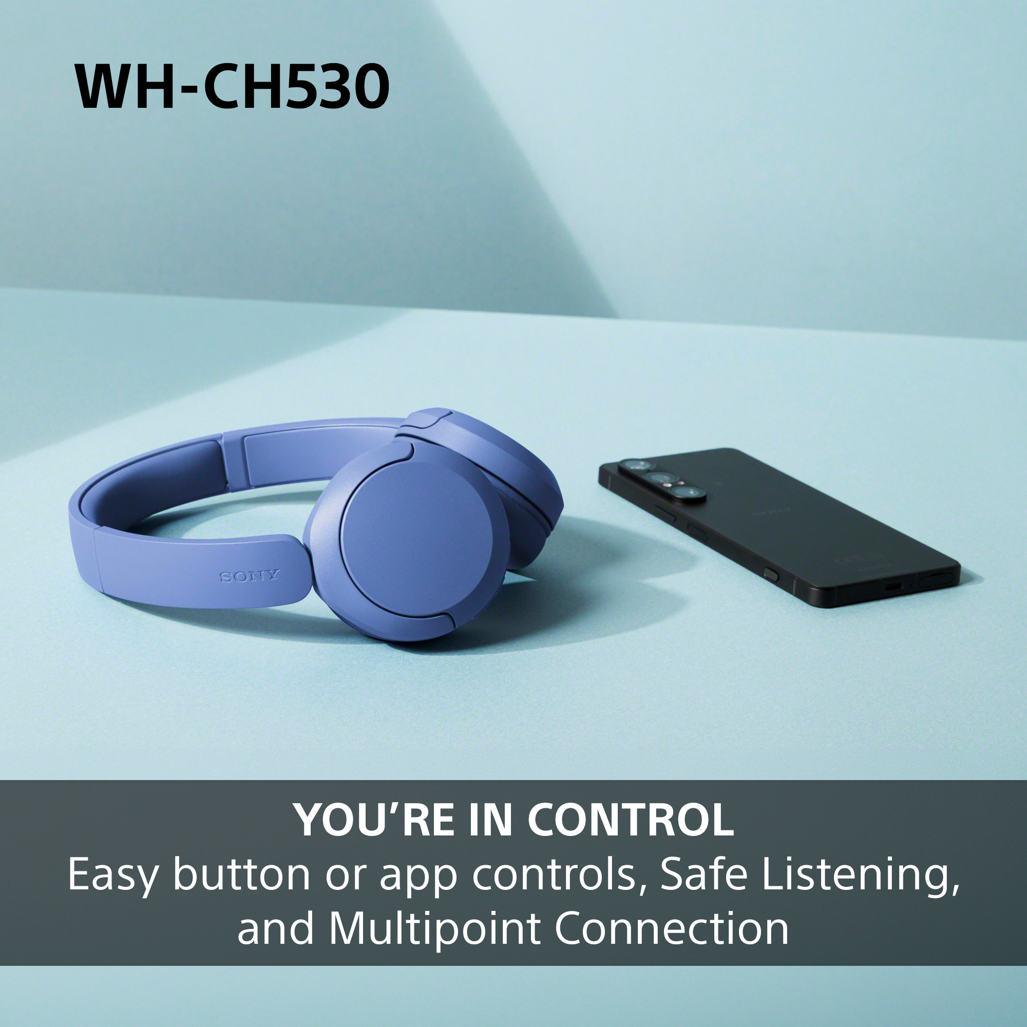 http://cdn.media.amplience.net/i/euronics/SONWHCH530PCE7_7