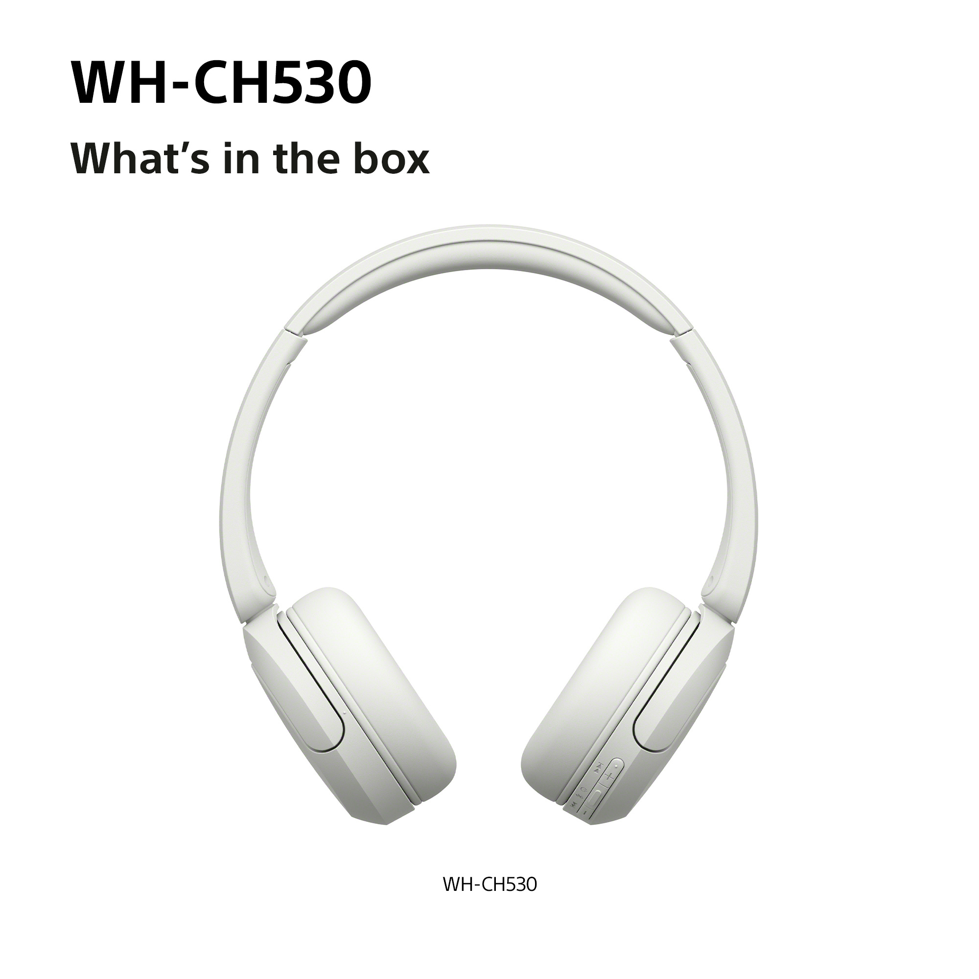 http://cdn.media.amplience.net/i/euronics/SONWHCH530WCE7_6