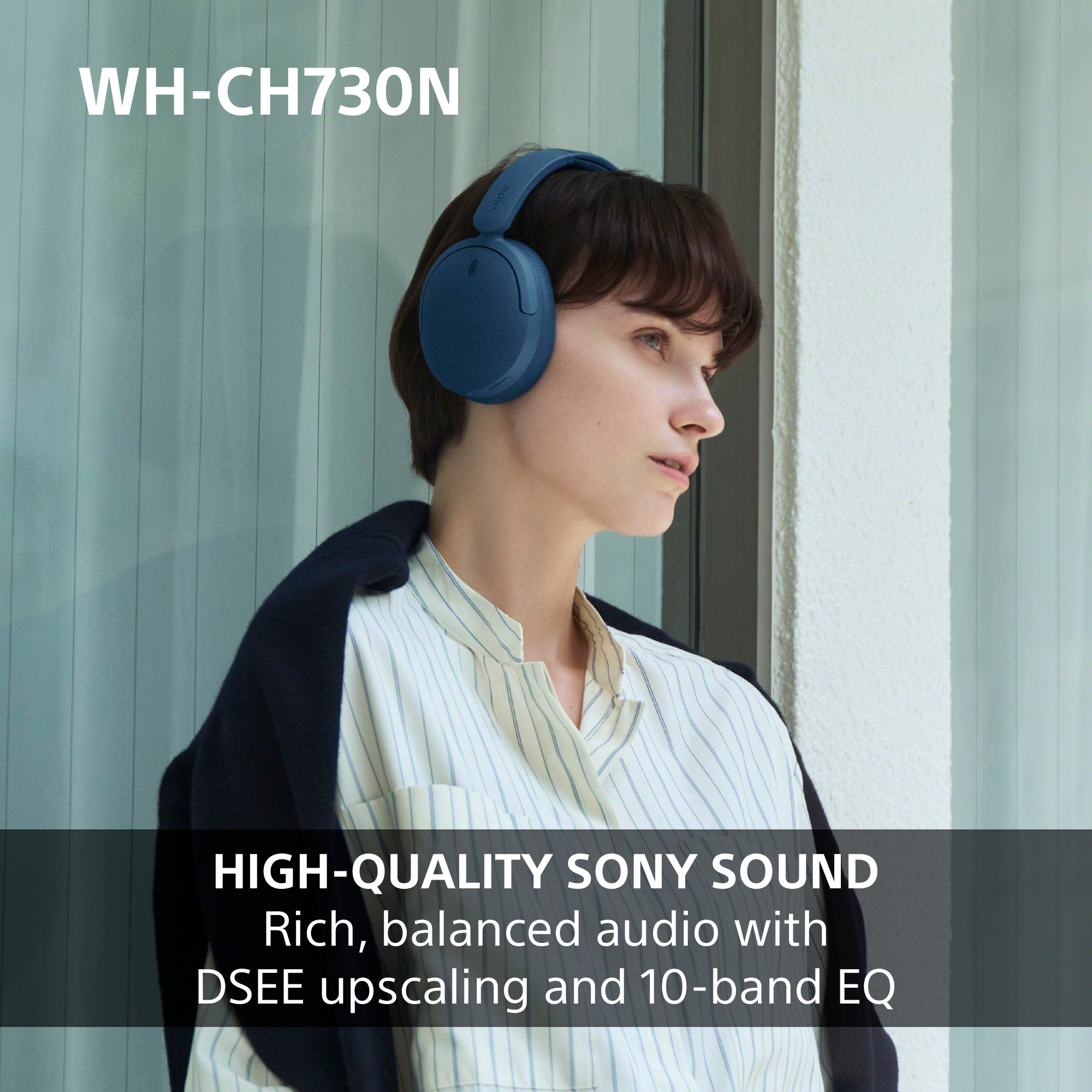 http://cdn.media.amplience.net/i/euronics/SONWHCH730NPCE7_13