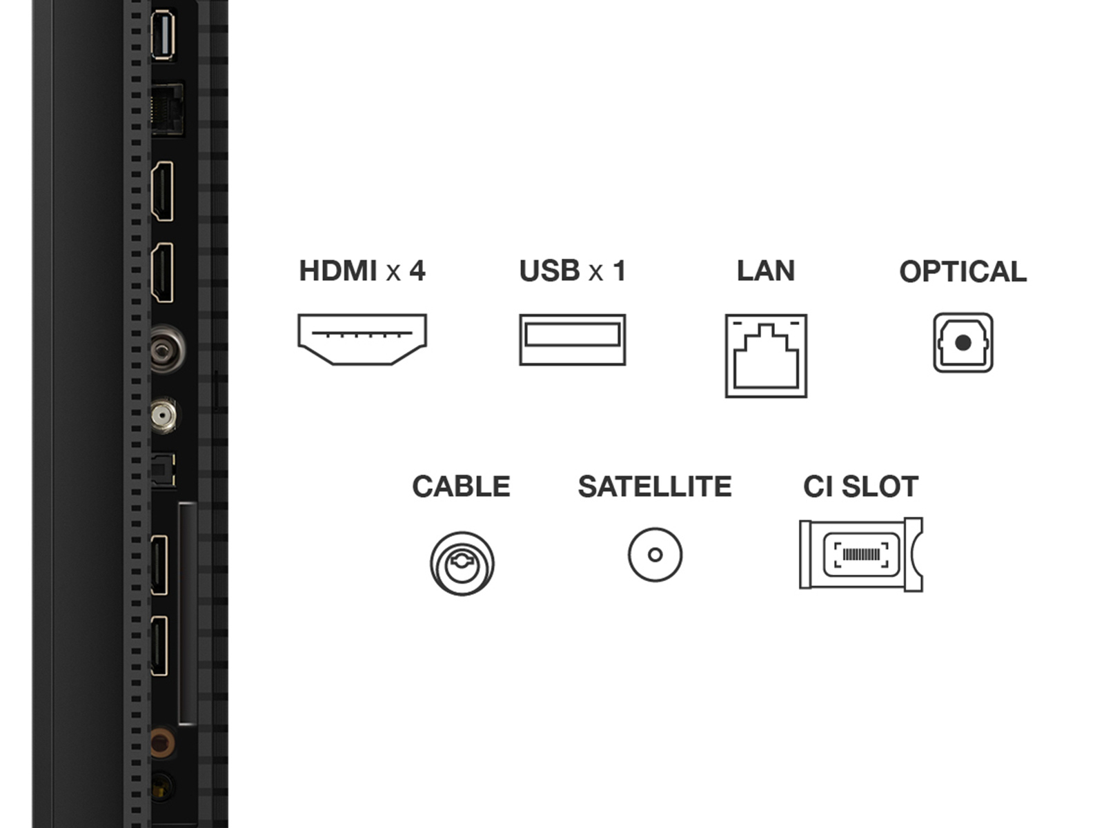 http://cdn.media.amplience.net/i/euronics/TCL50Q6CUK_9