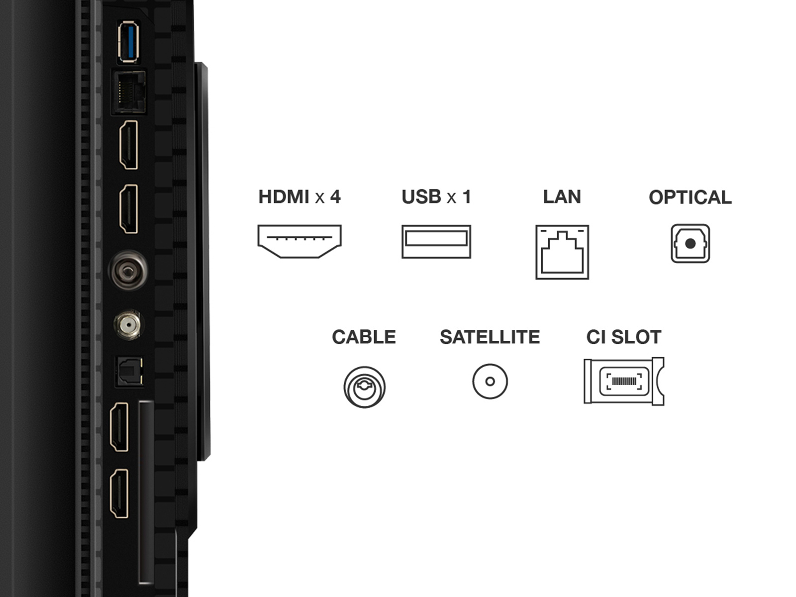 http://cdn.media.amplience.net/i/euronics/TCL65T8CUK_12