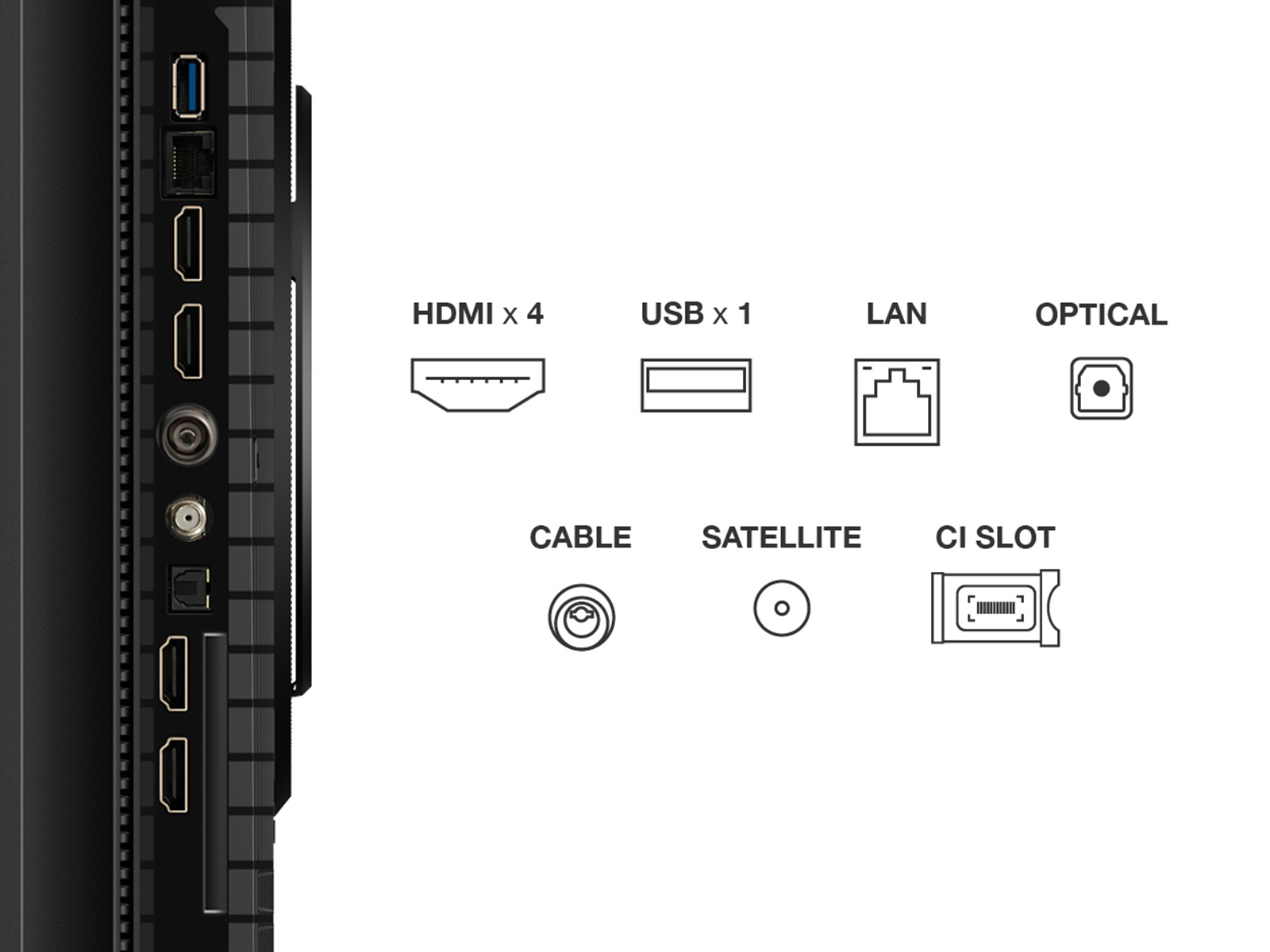 http://cdn.media.amplience.net/i/euronics/TCL75T8CUK_12