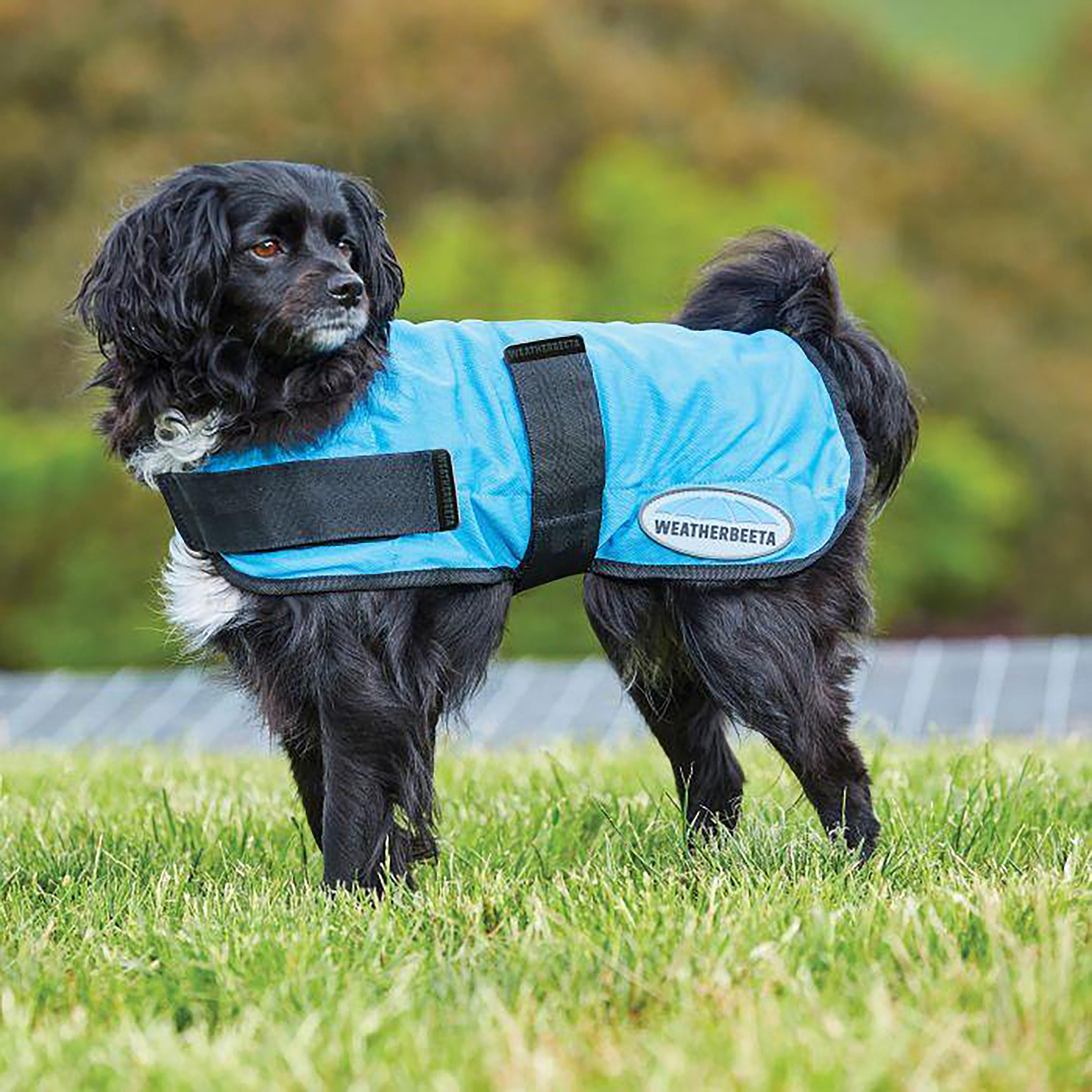 Image of Therapy-Tec Cooling Dog Coat, Blue