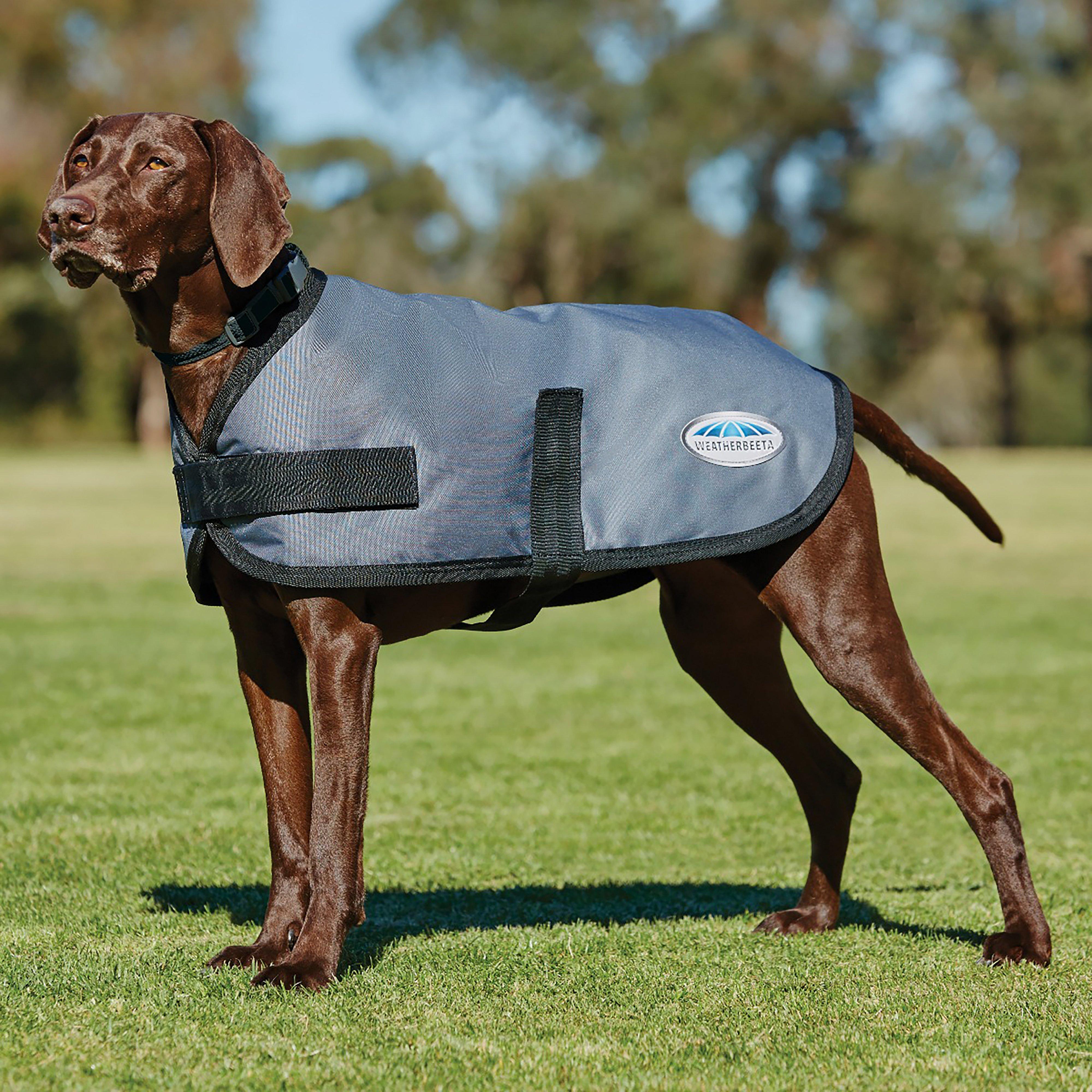 Image of Comfitec Classic Dog Coat, Grey