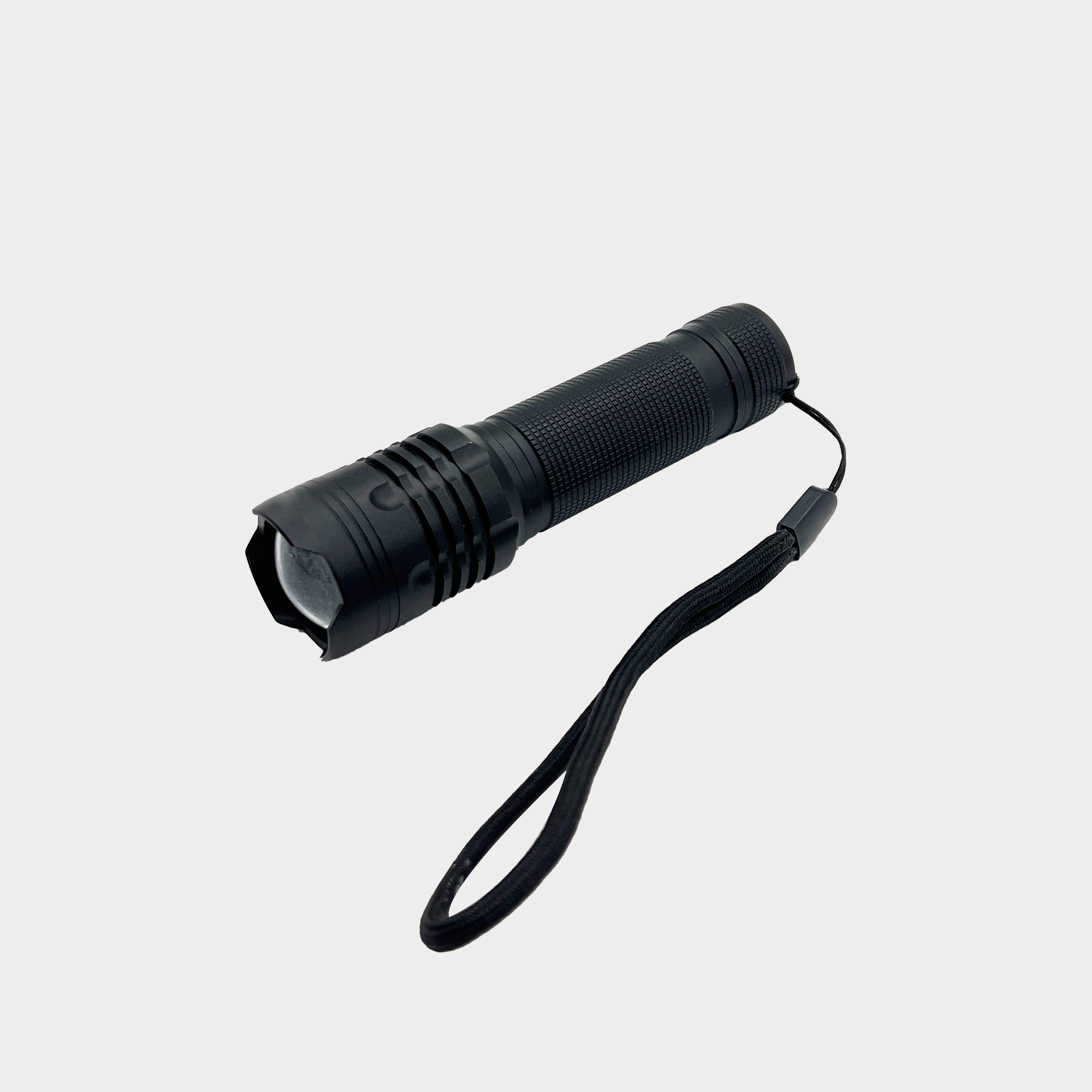 350 Lumen Torch