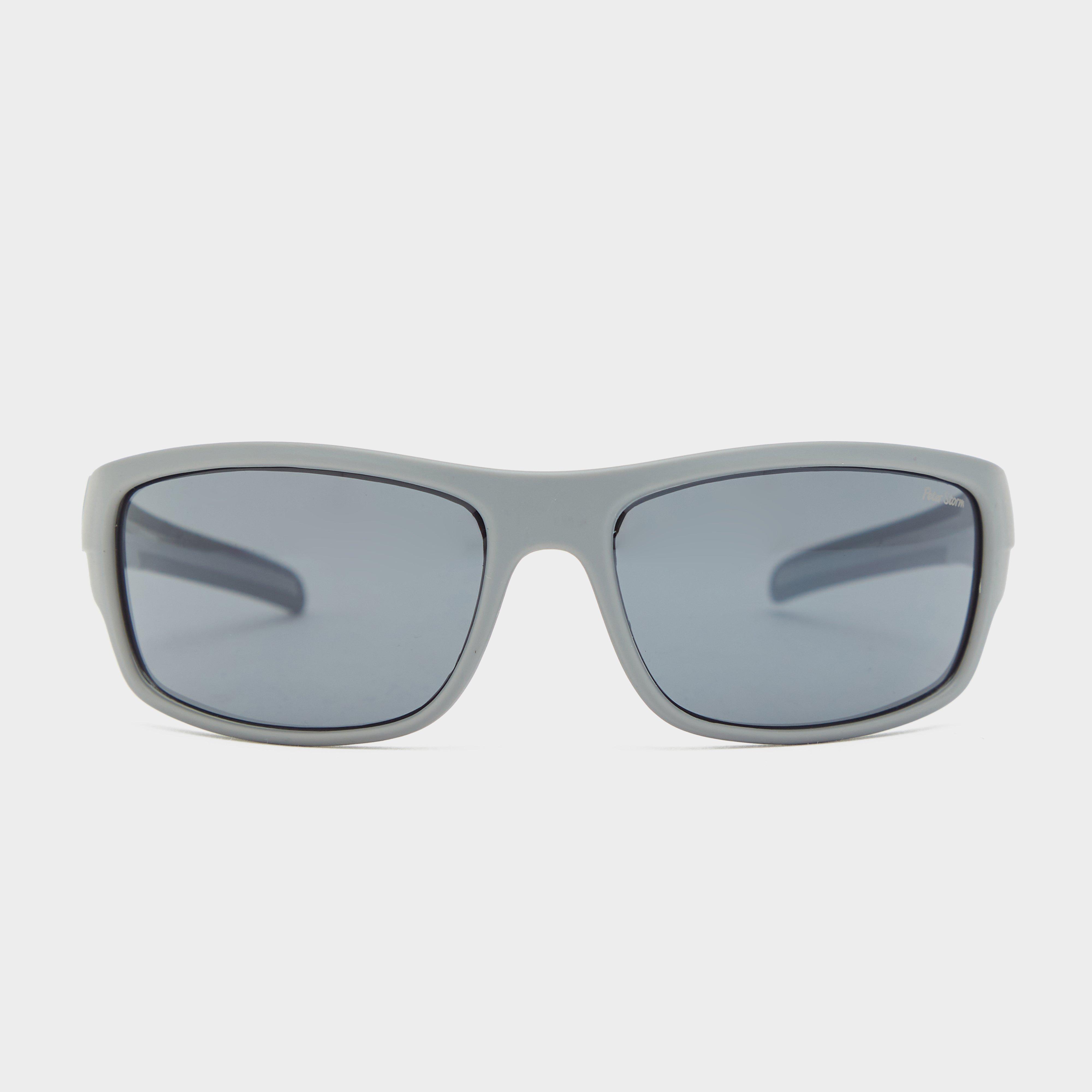 Dartmouth Sunglasses - Grey
