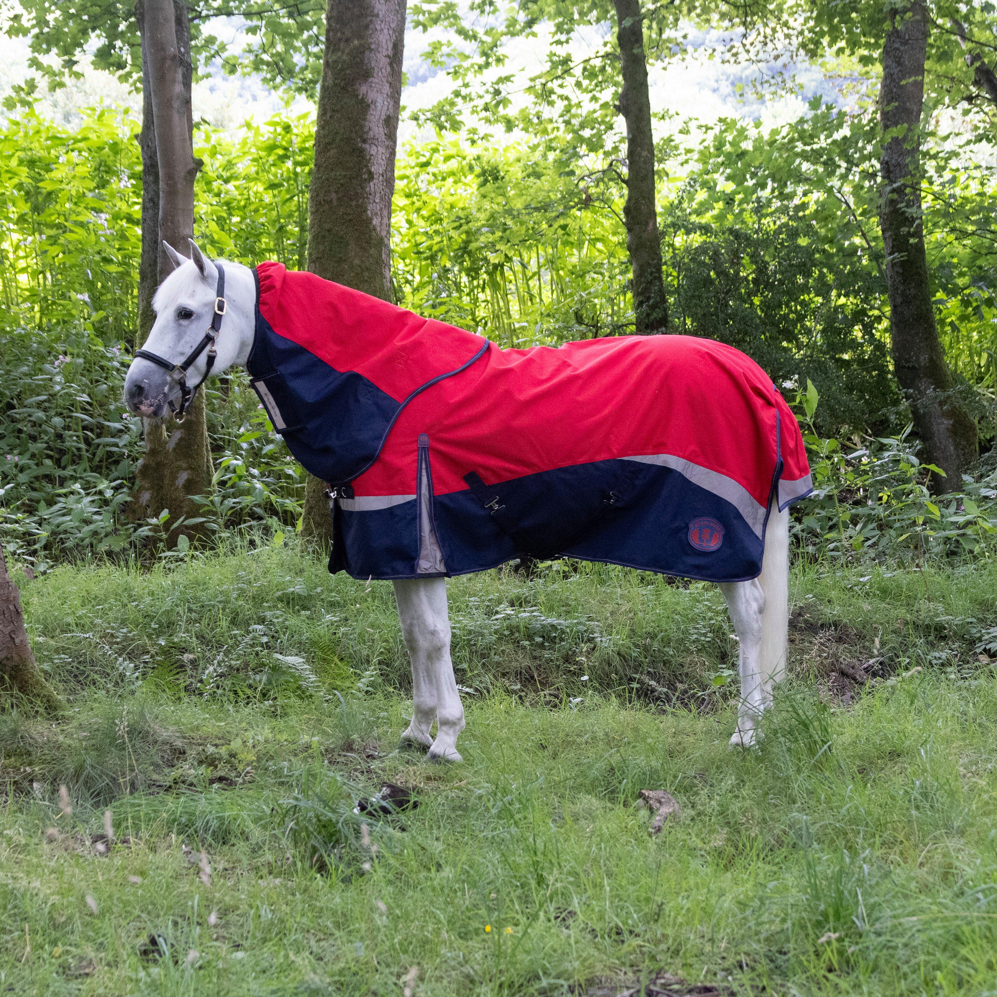 Royal Scot Unisex Red Pro 100G Turnout Rug