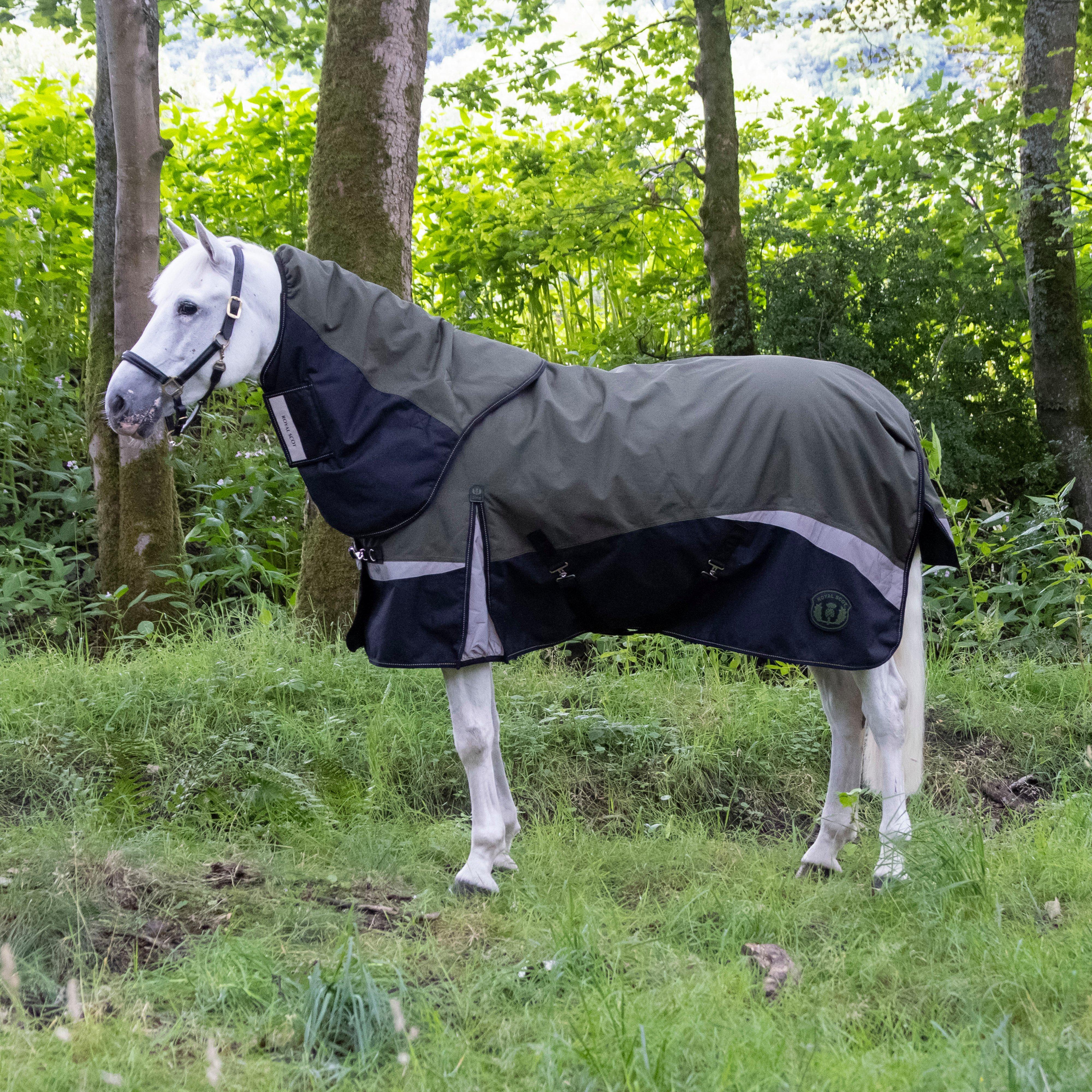 Royal Scot Pro 200G Turnout Rug – Olive/Black, Olive/Black