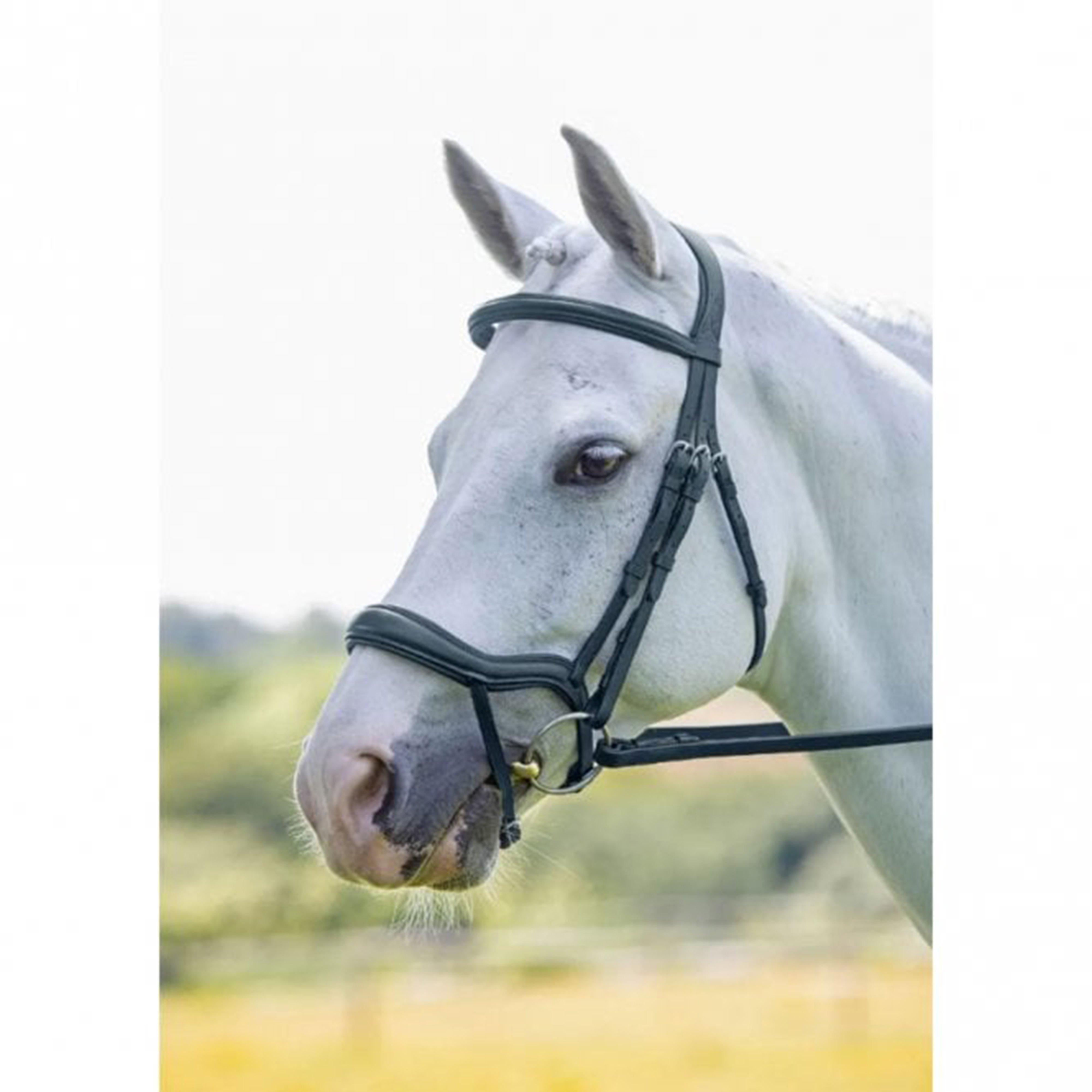 Ergonomic Flash Bridle Black