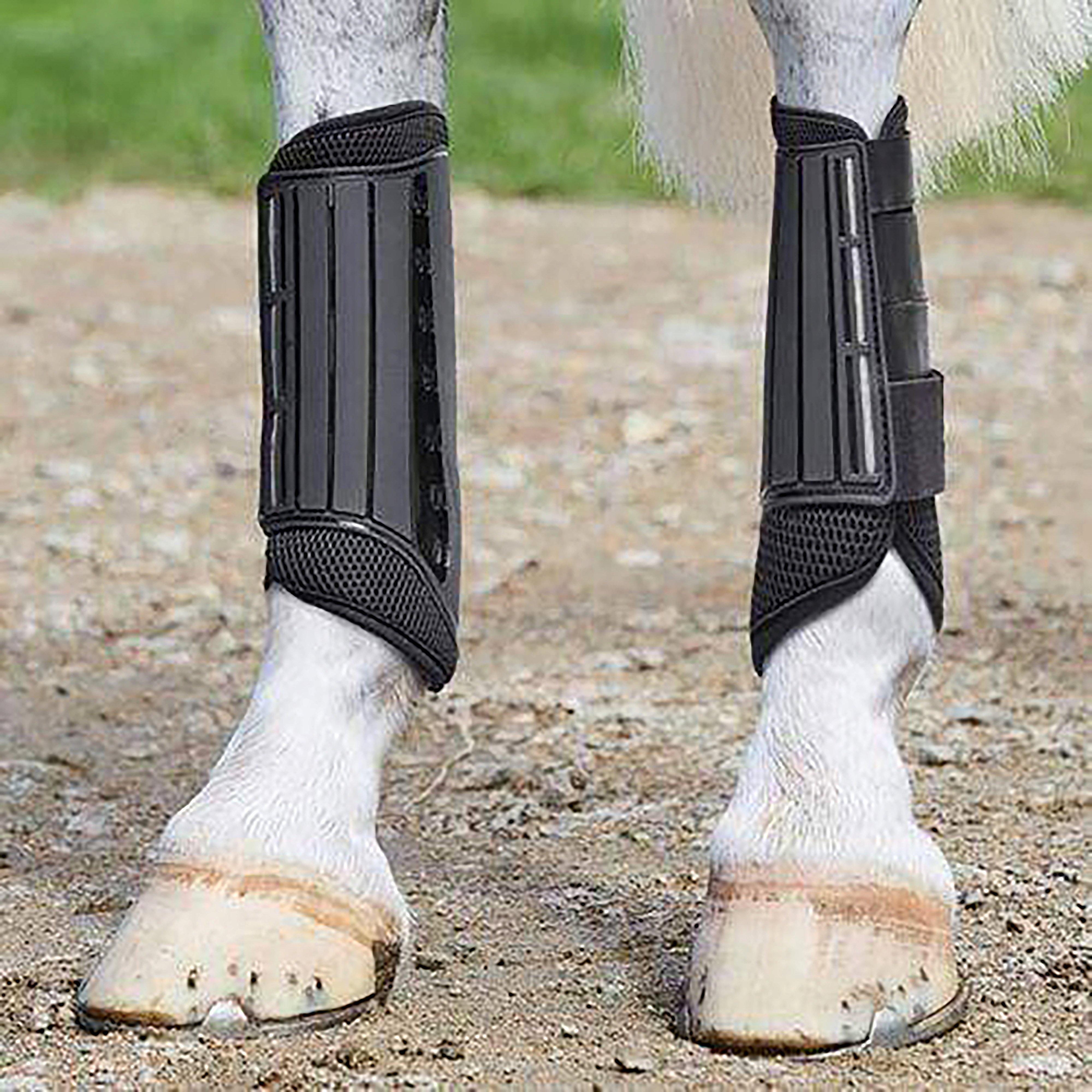 Eventing Hind Boots Black