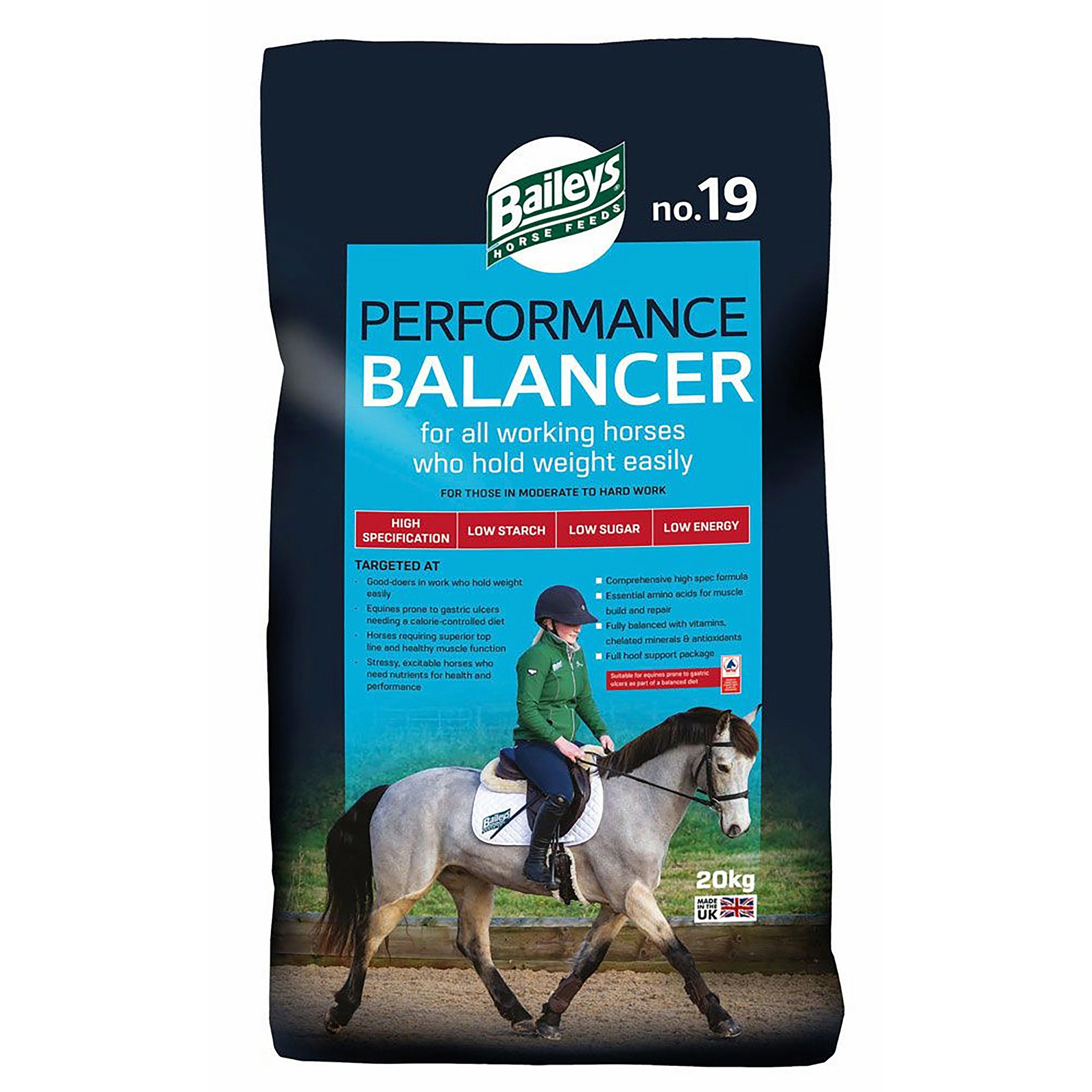 No.19 Performance Balancer 20kg