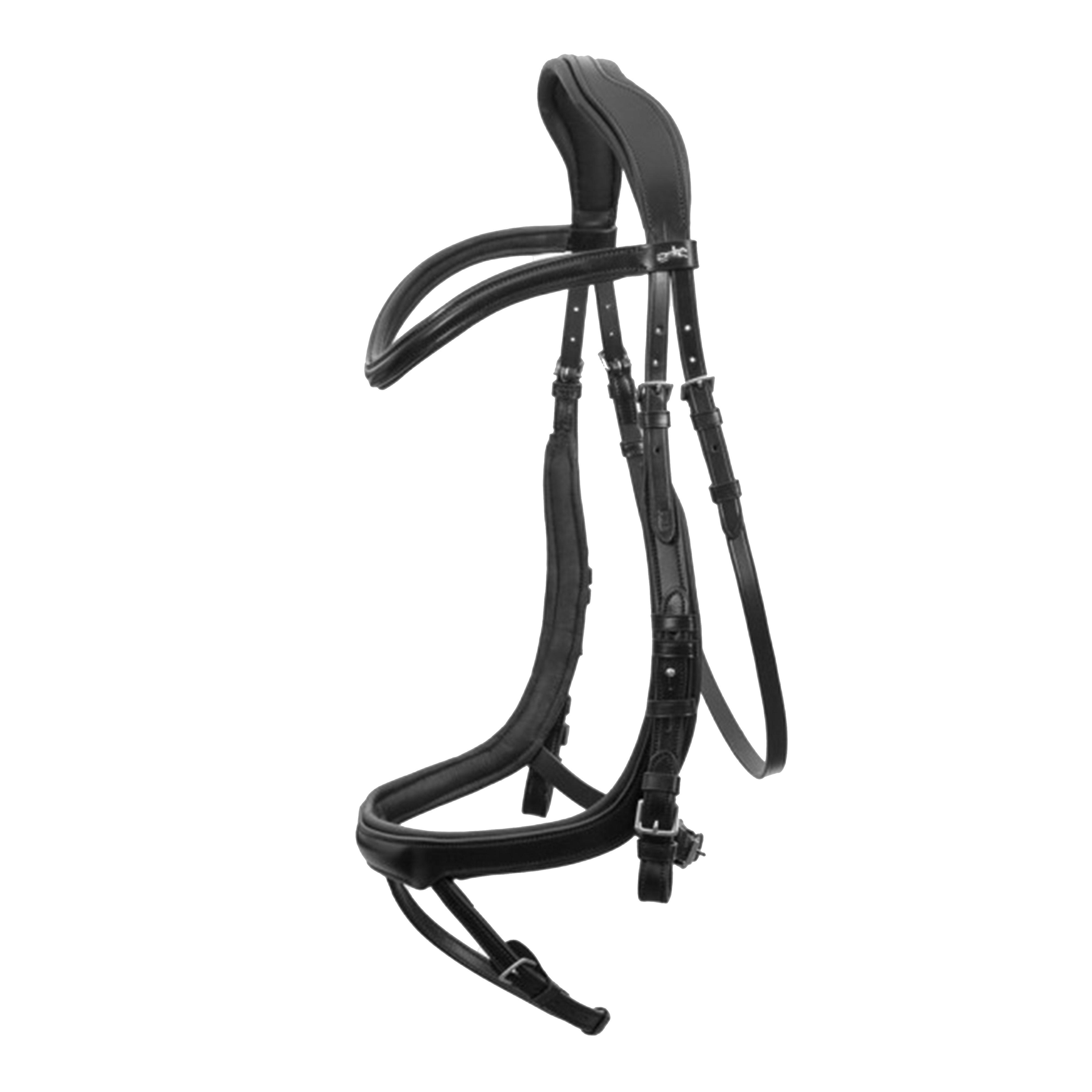 Anatomical Equitus Alpha Bridle Black