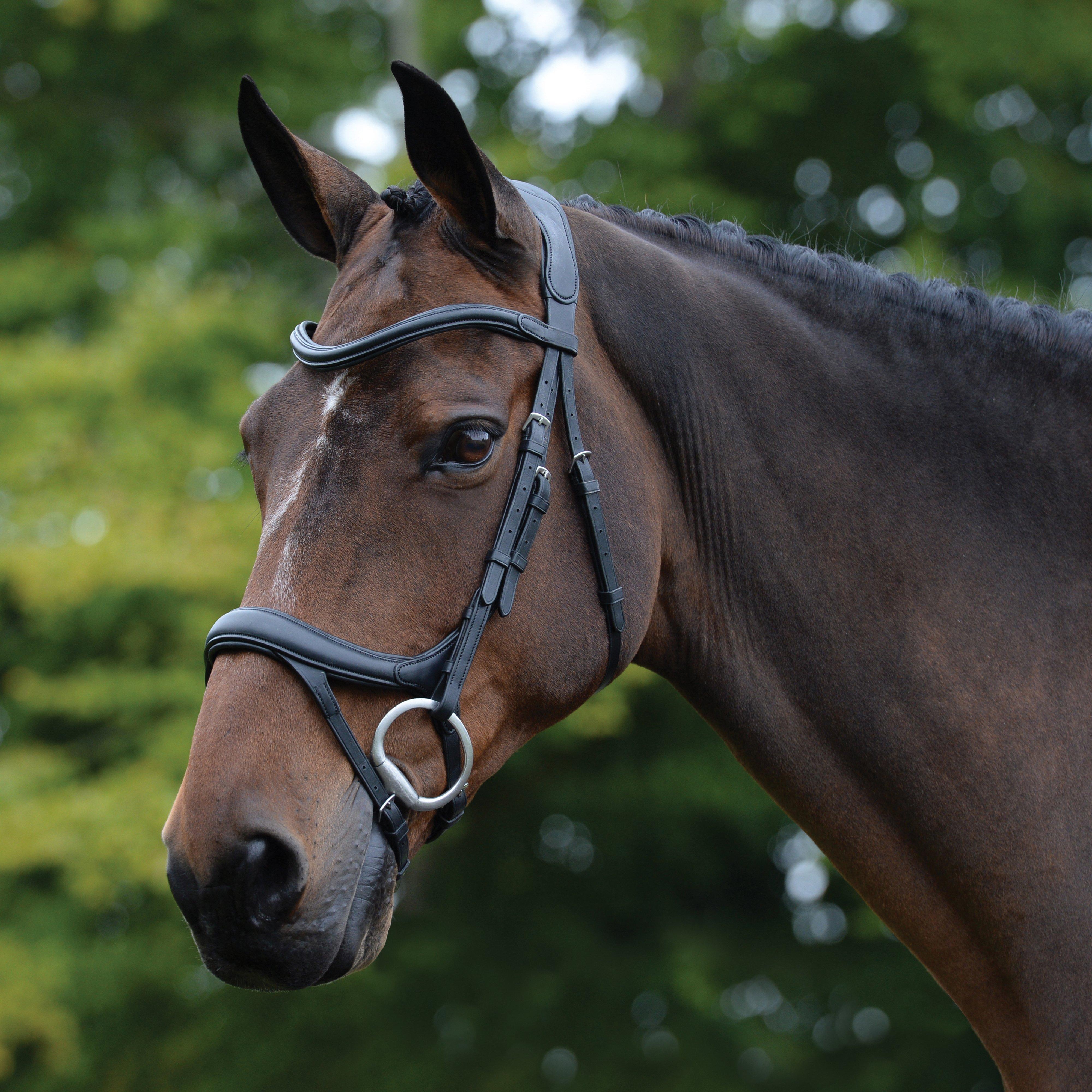 ComFiTec Vogue Anatomical Bridle Black