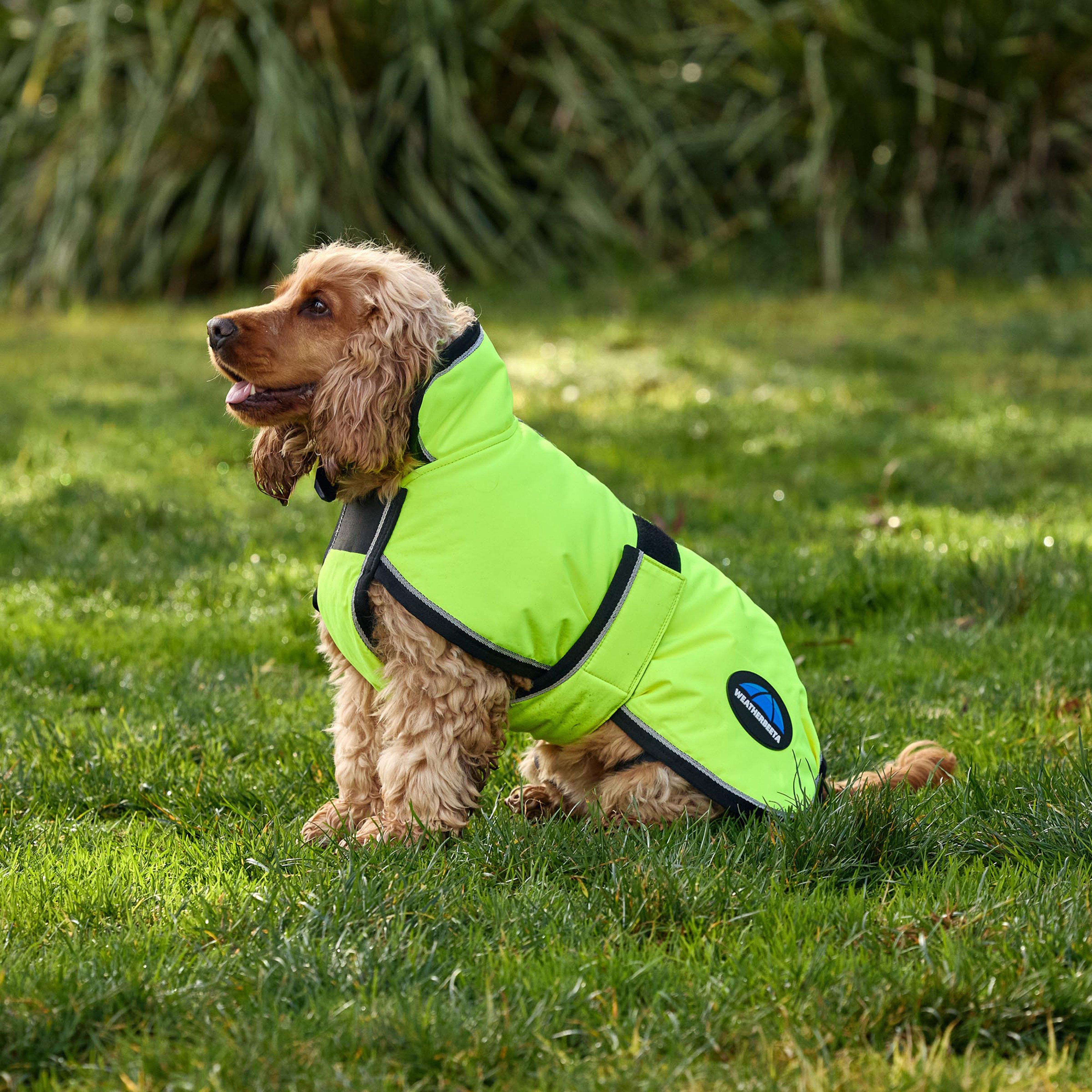 WeatherBeeta ComFiTec Classic Waterproof Dog Coat - 100G - Yellow - Polyester - £31.00 - Ref 0617