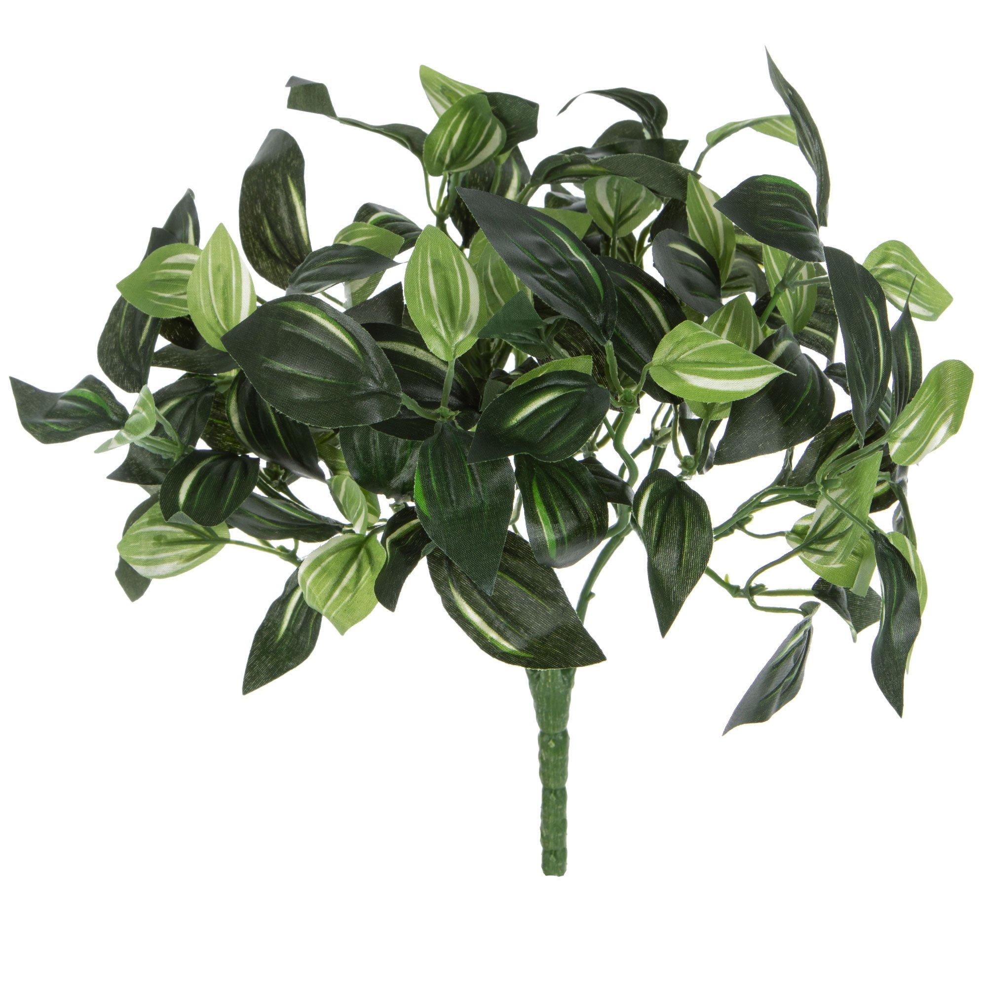 Dracaena Leaf Bush Hobby Lobby