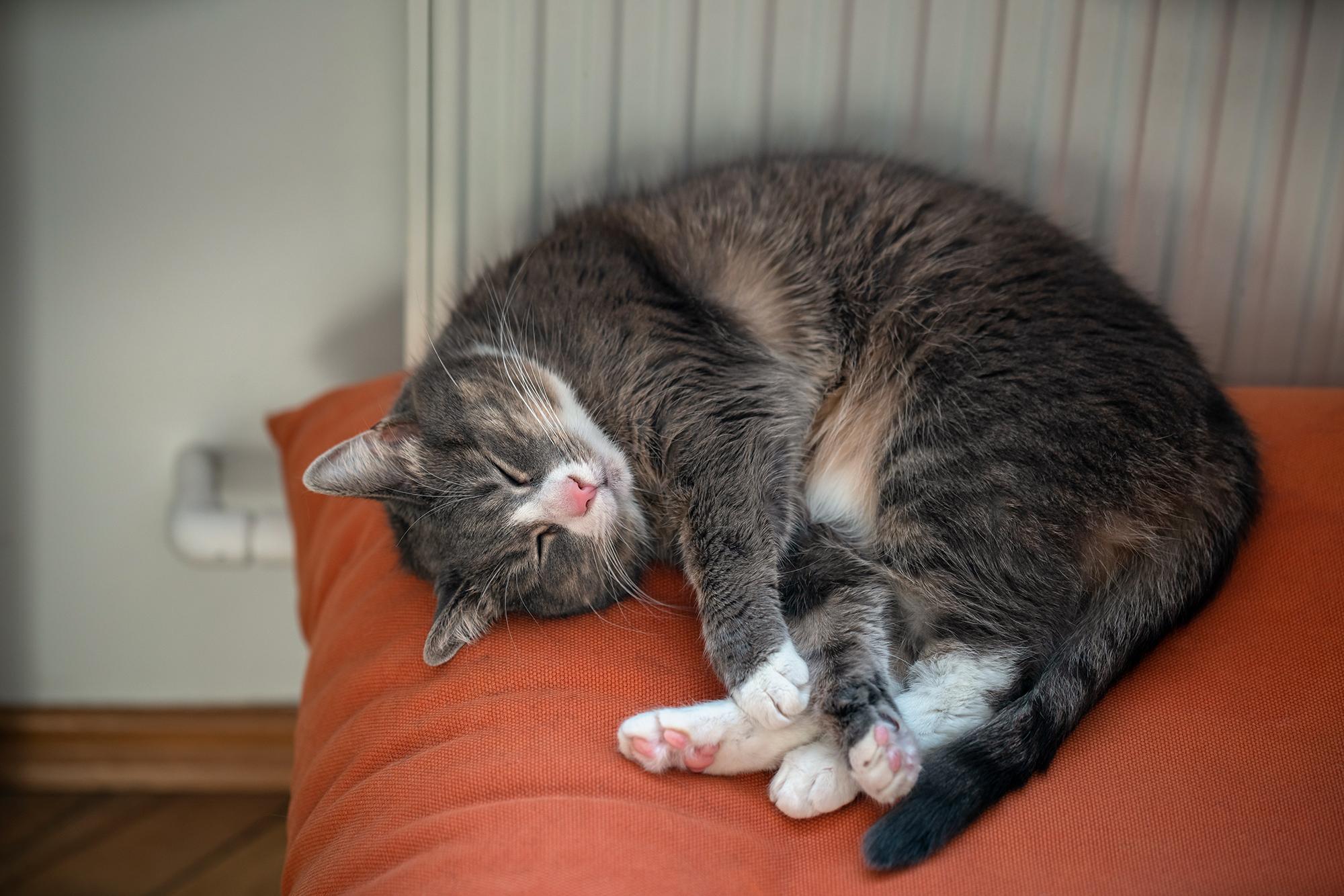Which type of heater is best for a cold winter? | Currys