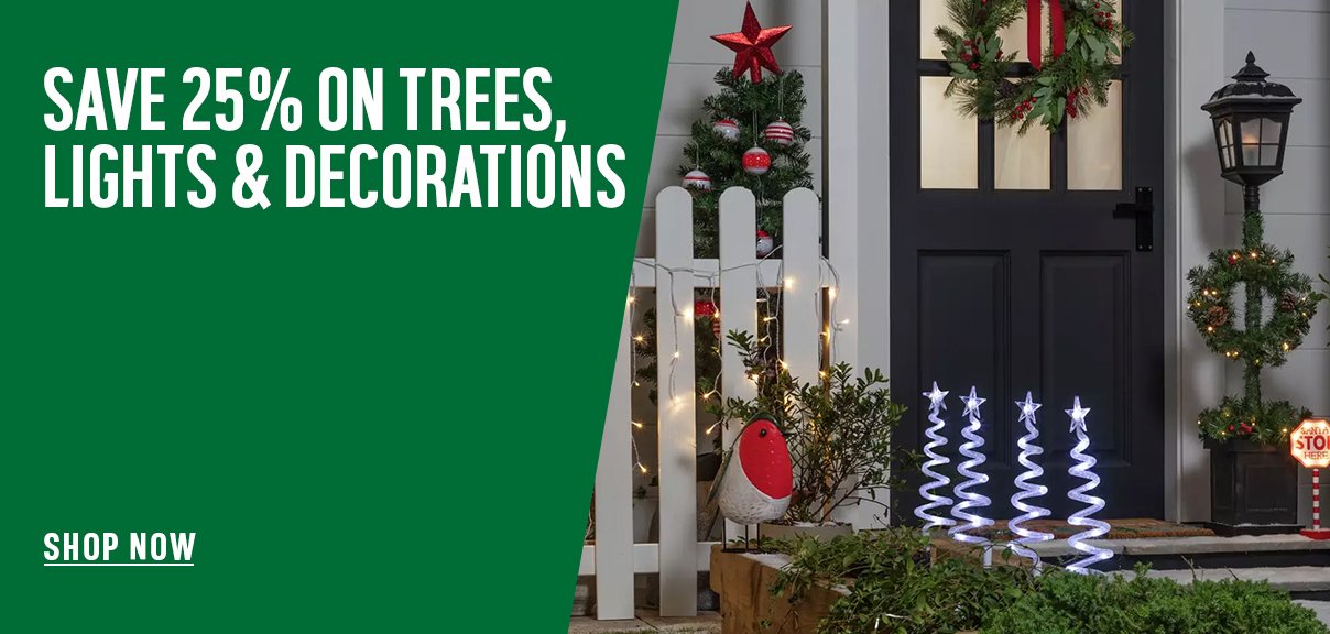 Save 25% on trees, lights & decorations.