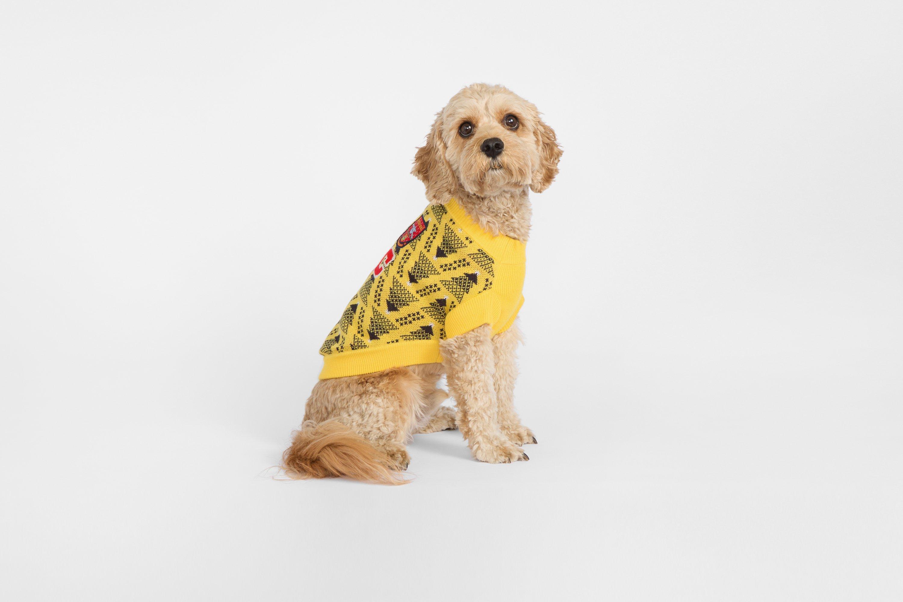 Arsenal Bruised Banana Dog Christmas Jumper | Official Online Store