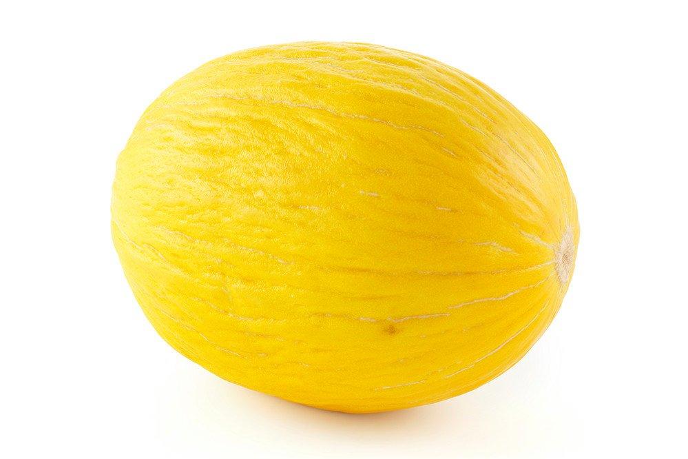 Medium Honeydew Melon