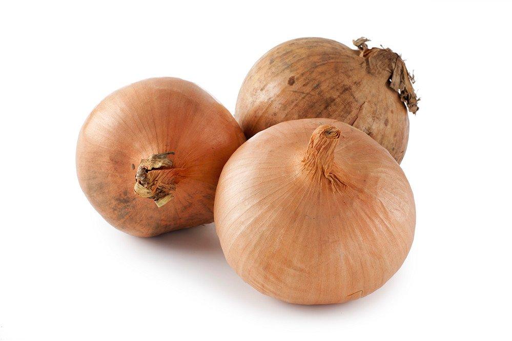 Large Onions 2.5kg