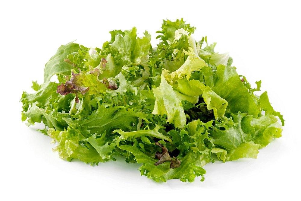 Continental Leaf Mix