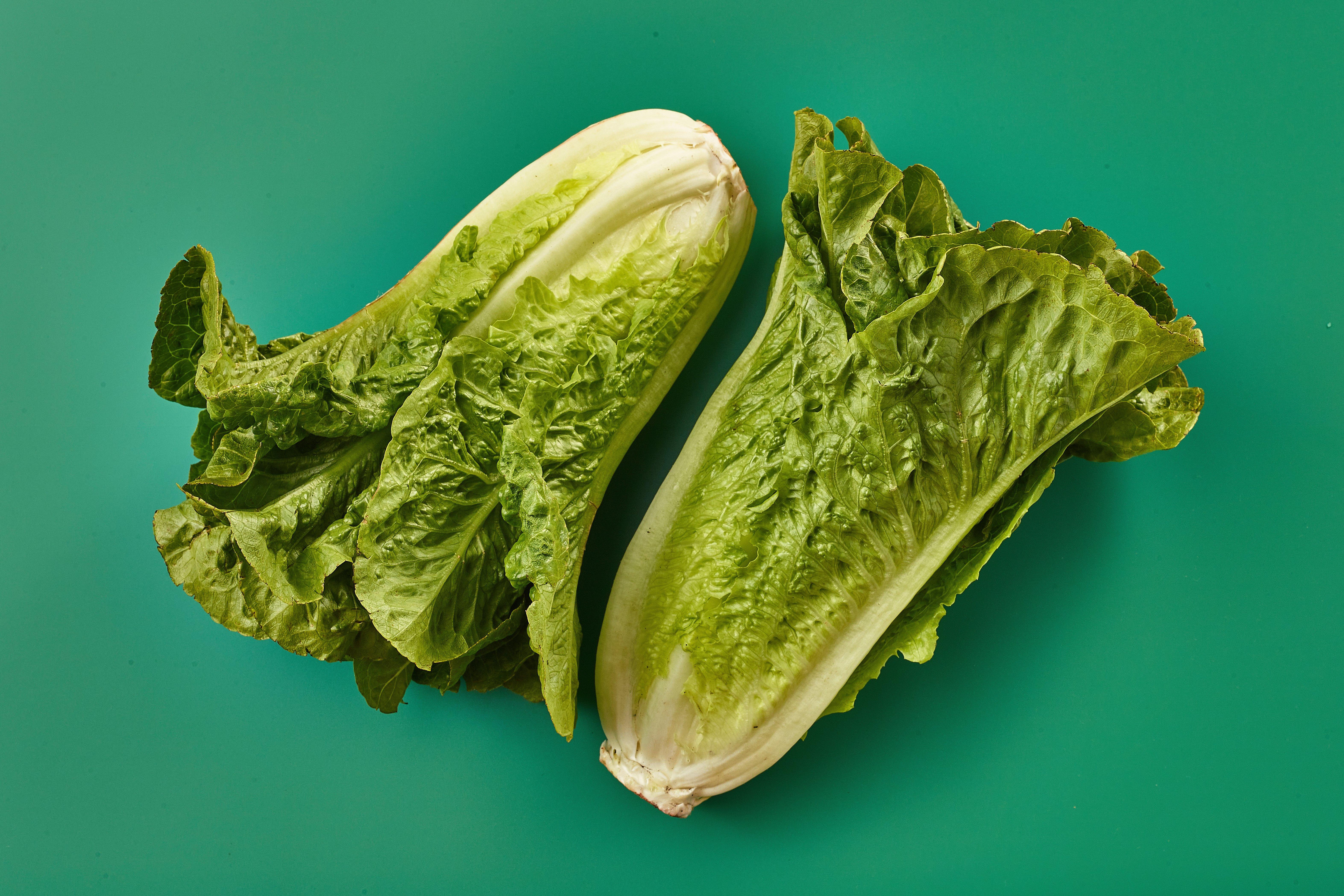 Cos Lettuce