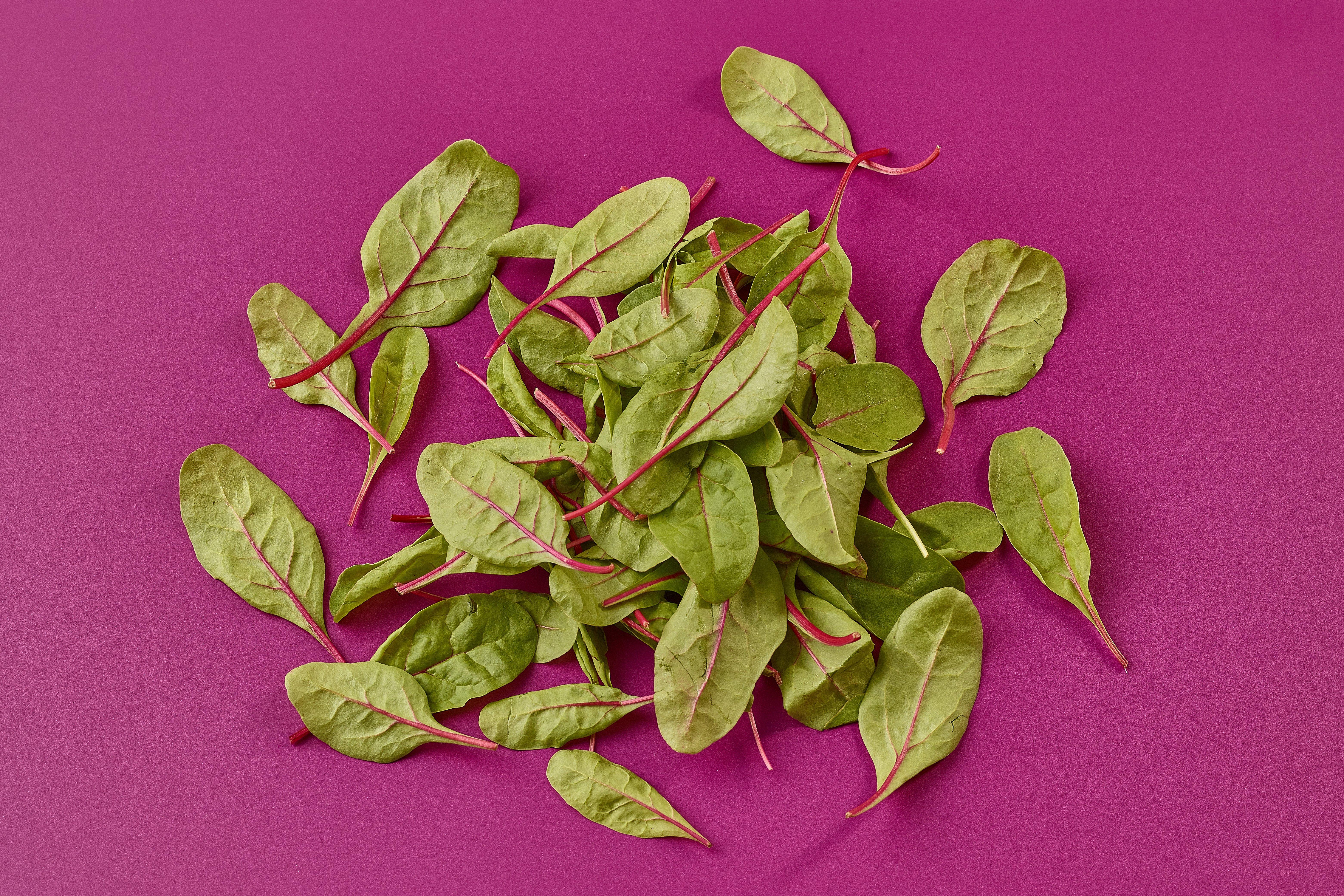 Red Chard