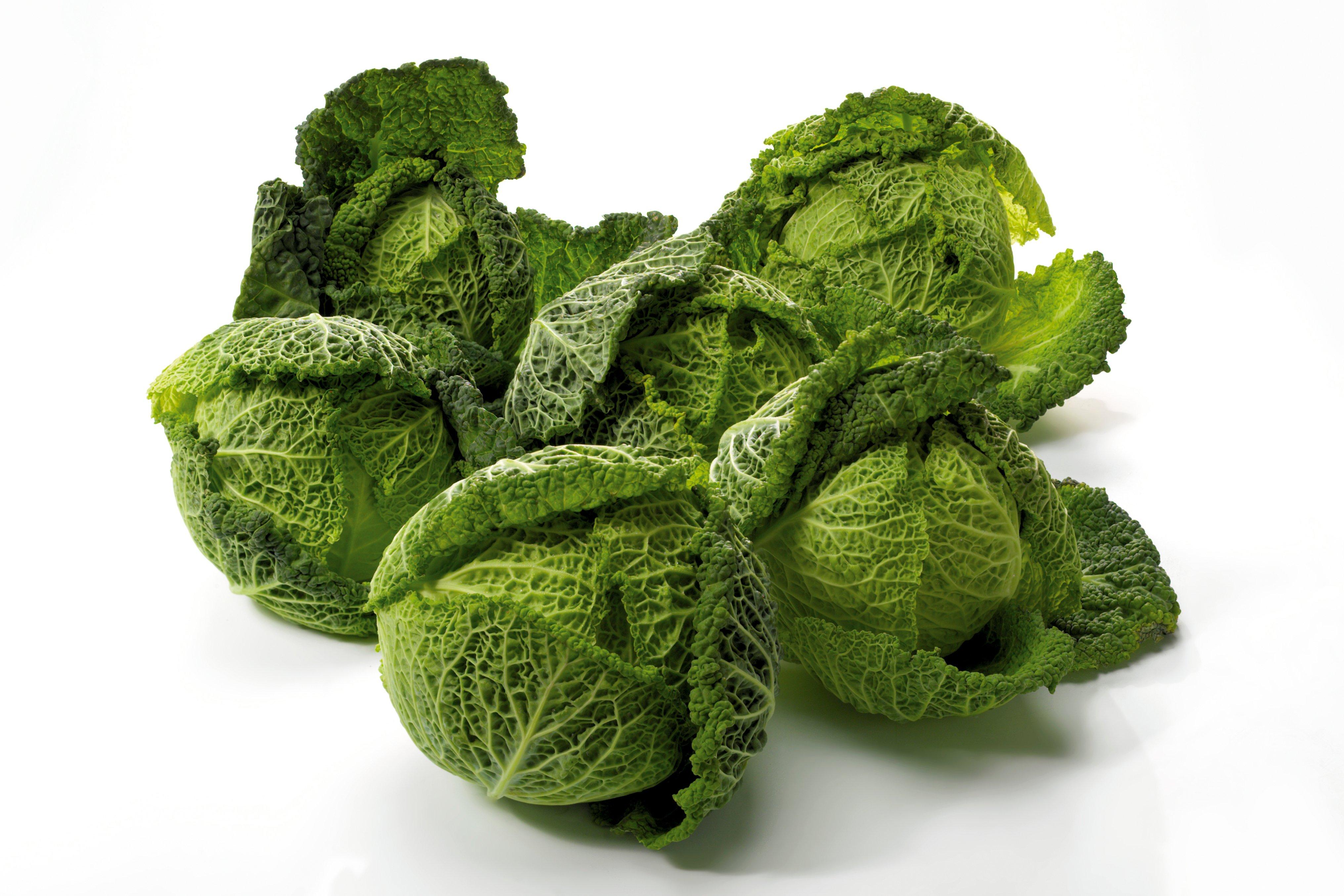 Savoy Cabbage