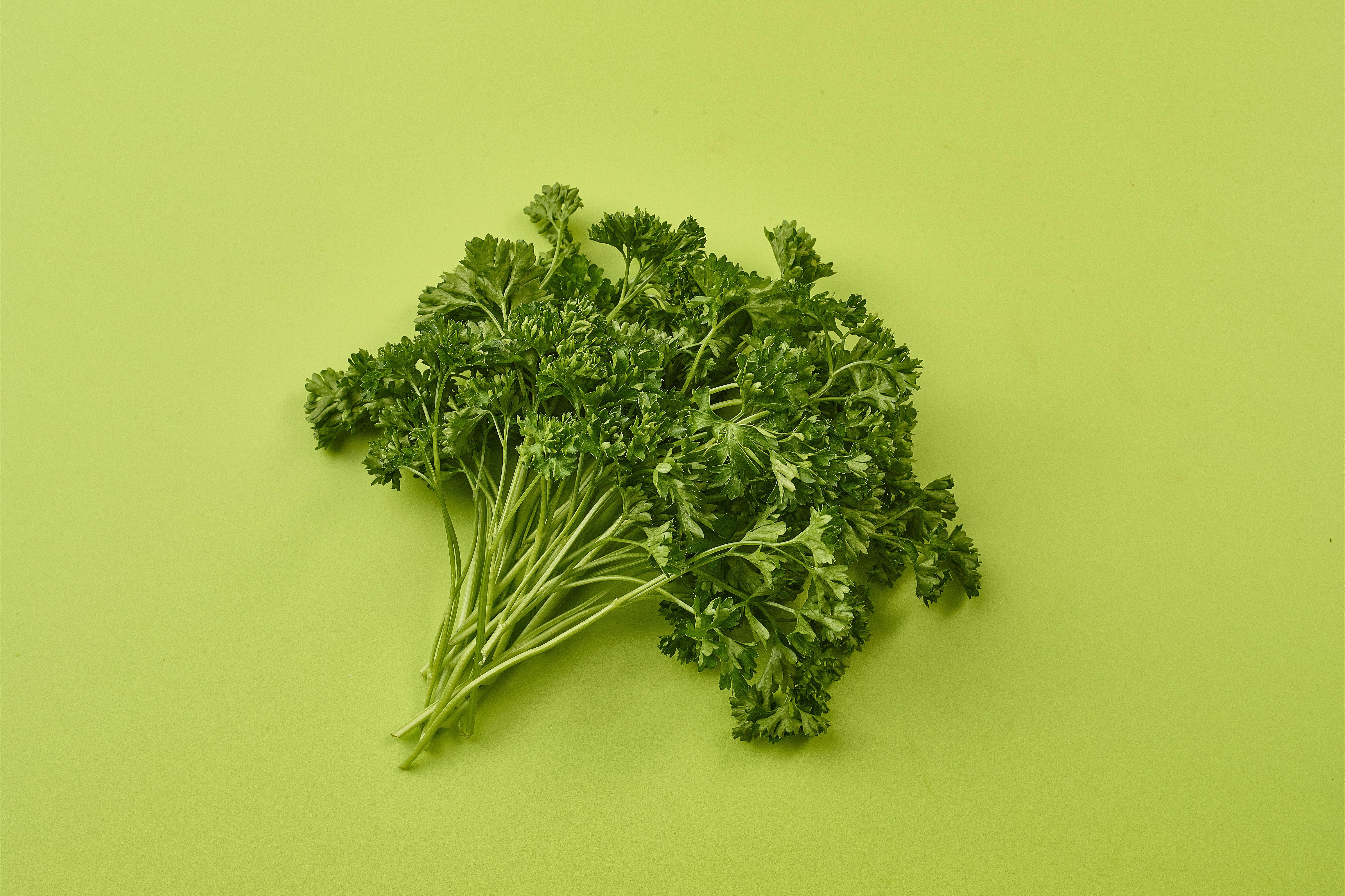 Curly Parsley