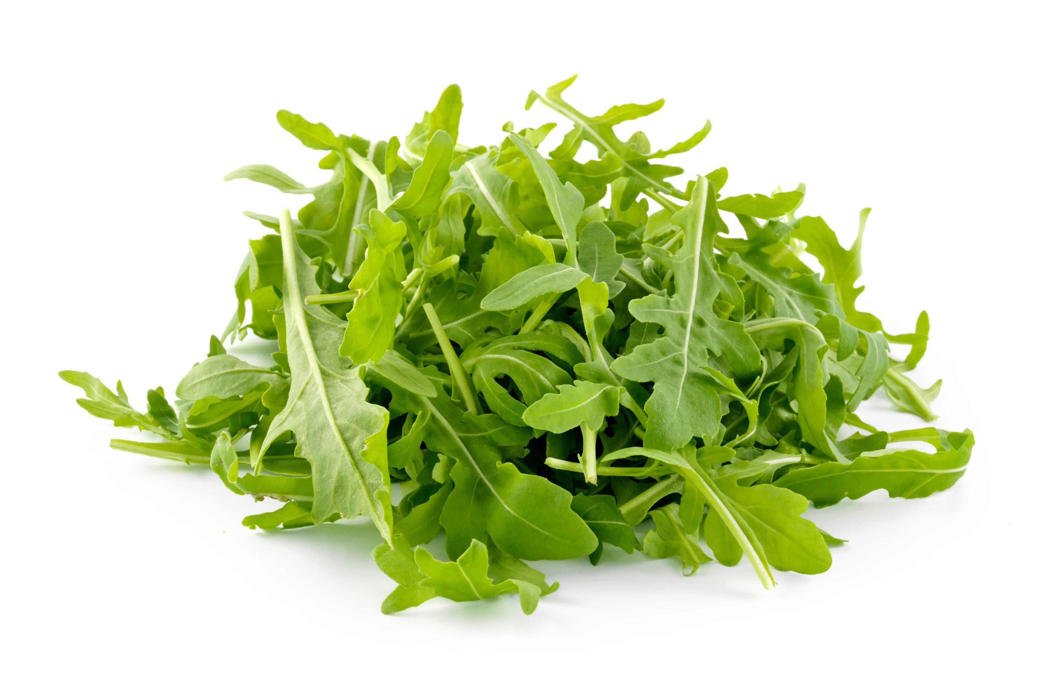 Roquette