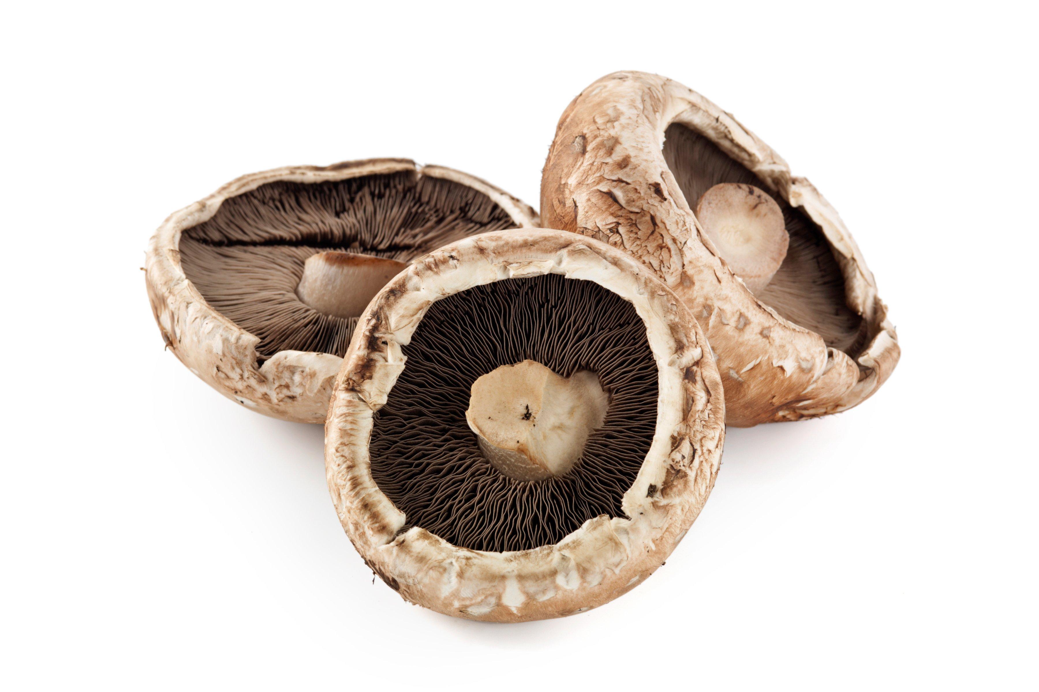 Portobello Mushrooms