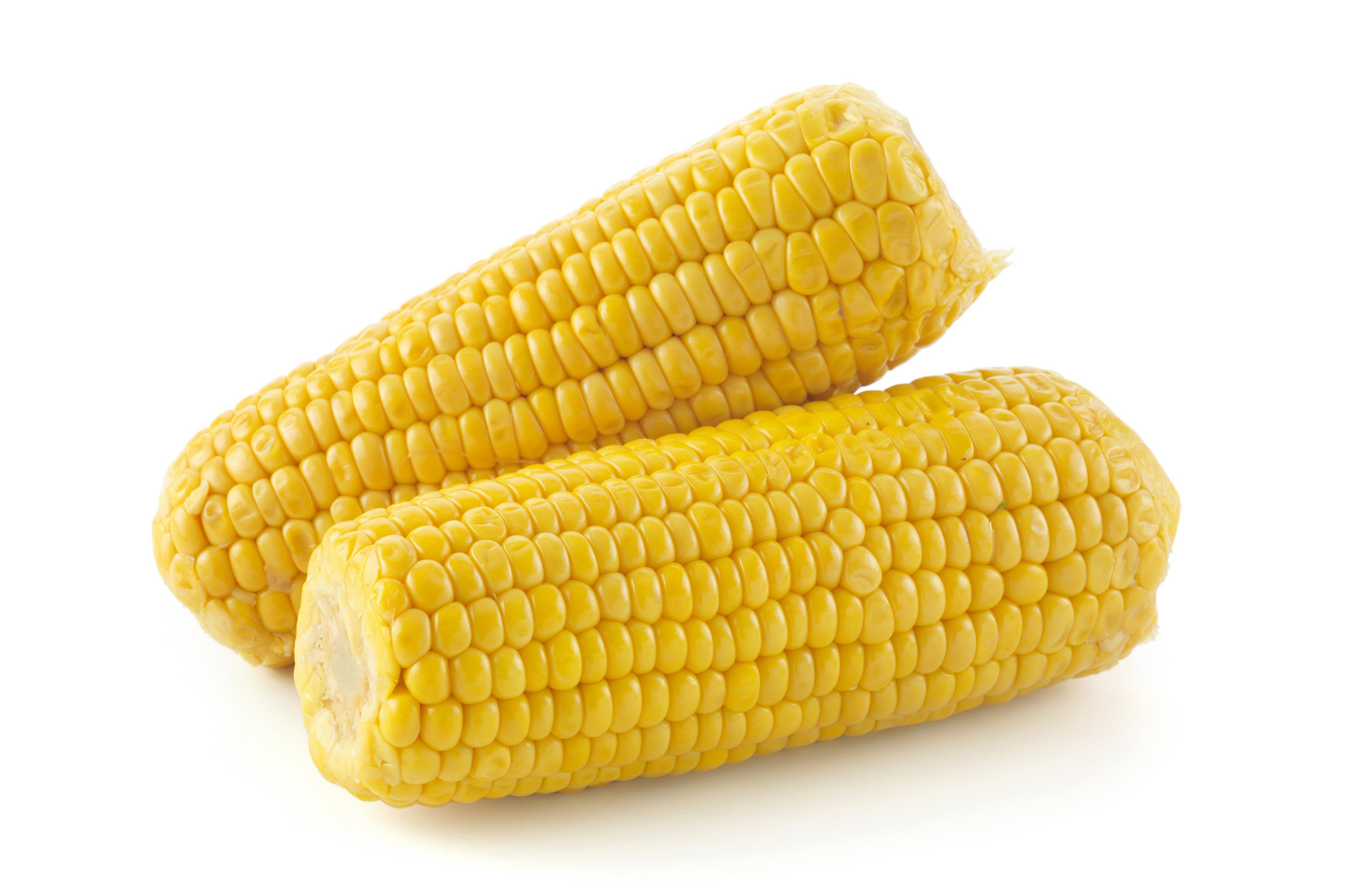 Cooked Corn on the Cob