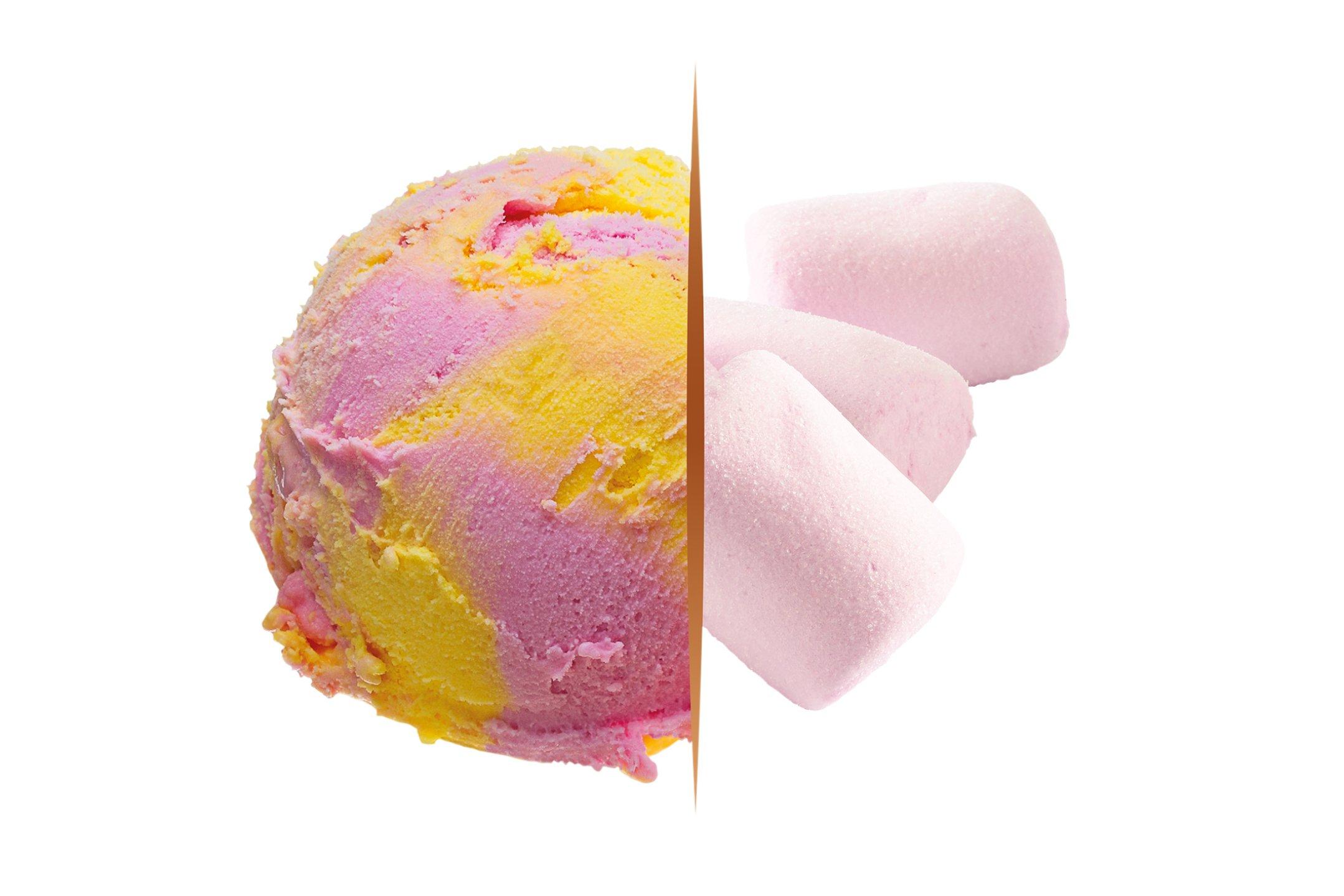 Carte D'or Gelateria Kids Marshmallow Ice Cream 5.5L