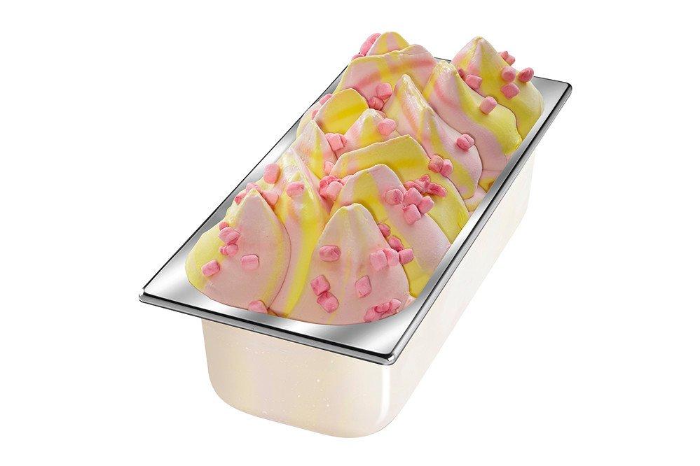 Carte D'or Gelateria Kids Marshmallow Ice Cream 5.5L