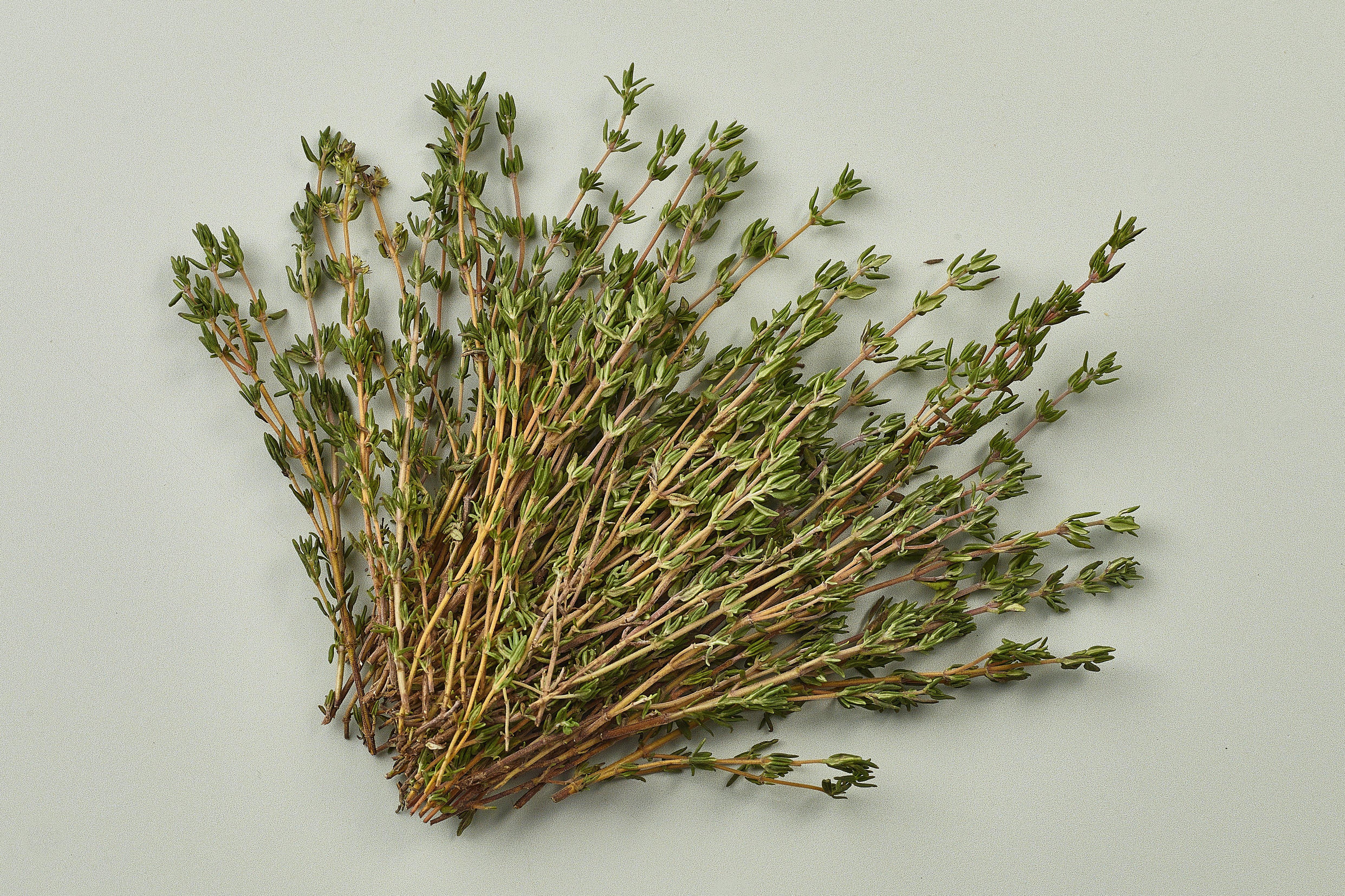 Herb Bunched Thyme