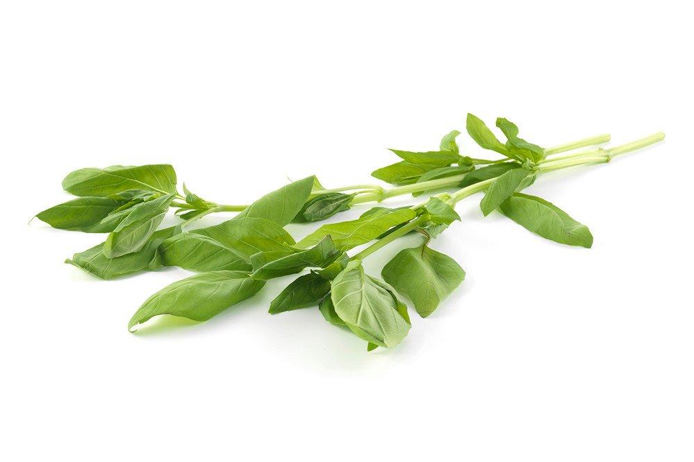 Herb Bunched Basil