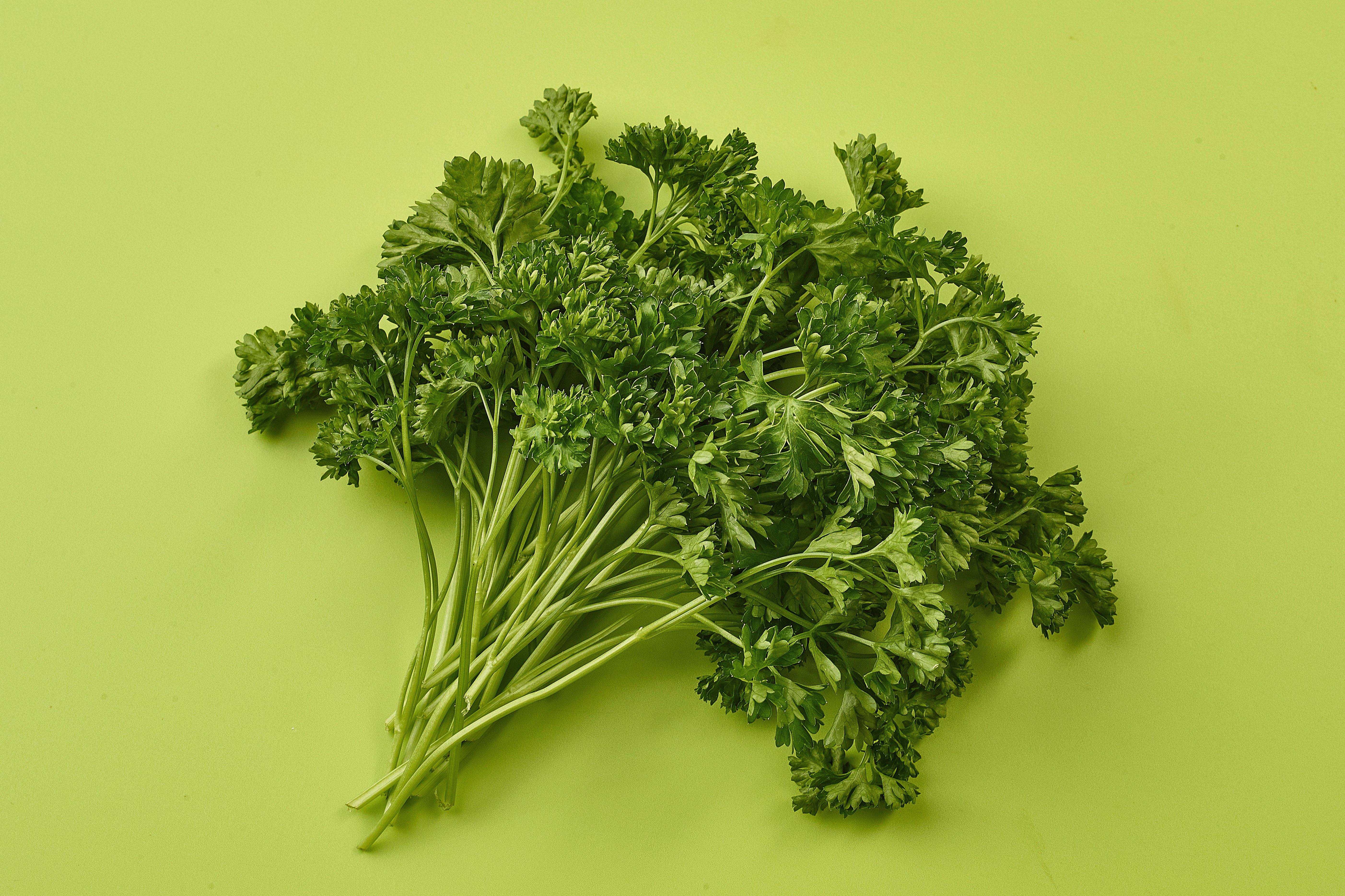 Herb Bunched Curly Leaf Parsley