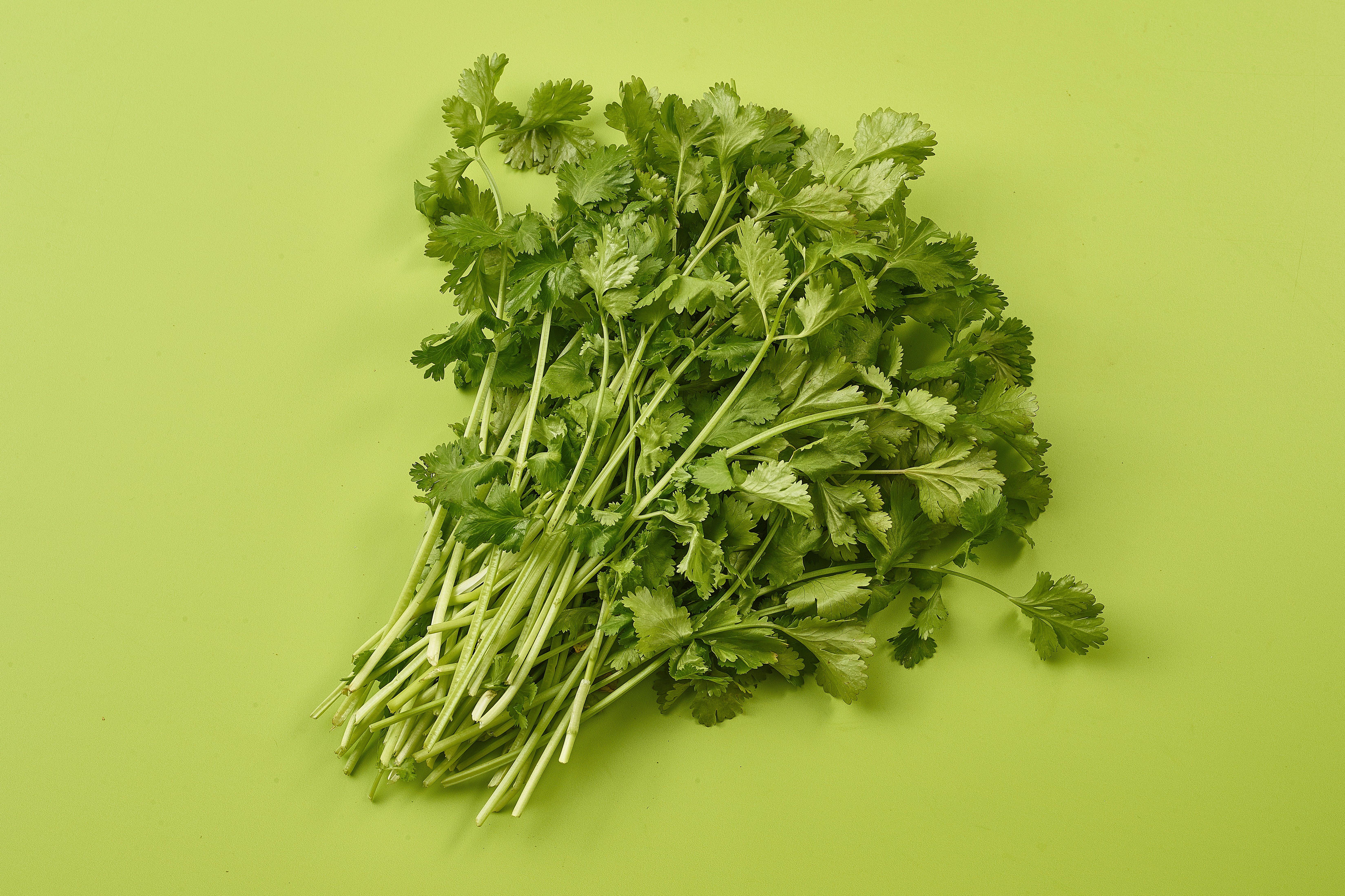 Herb Bunched Coriander