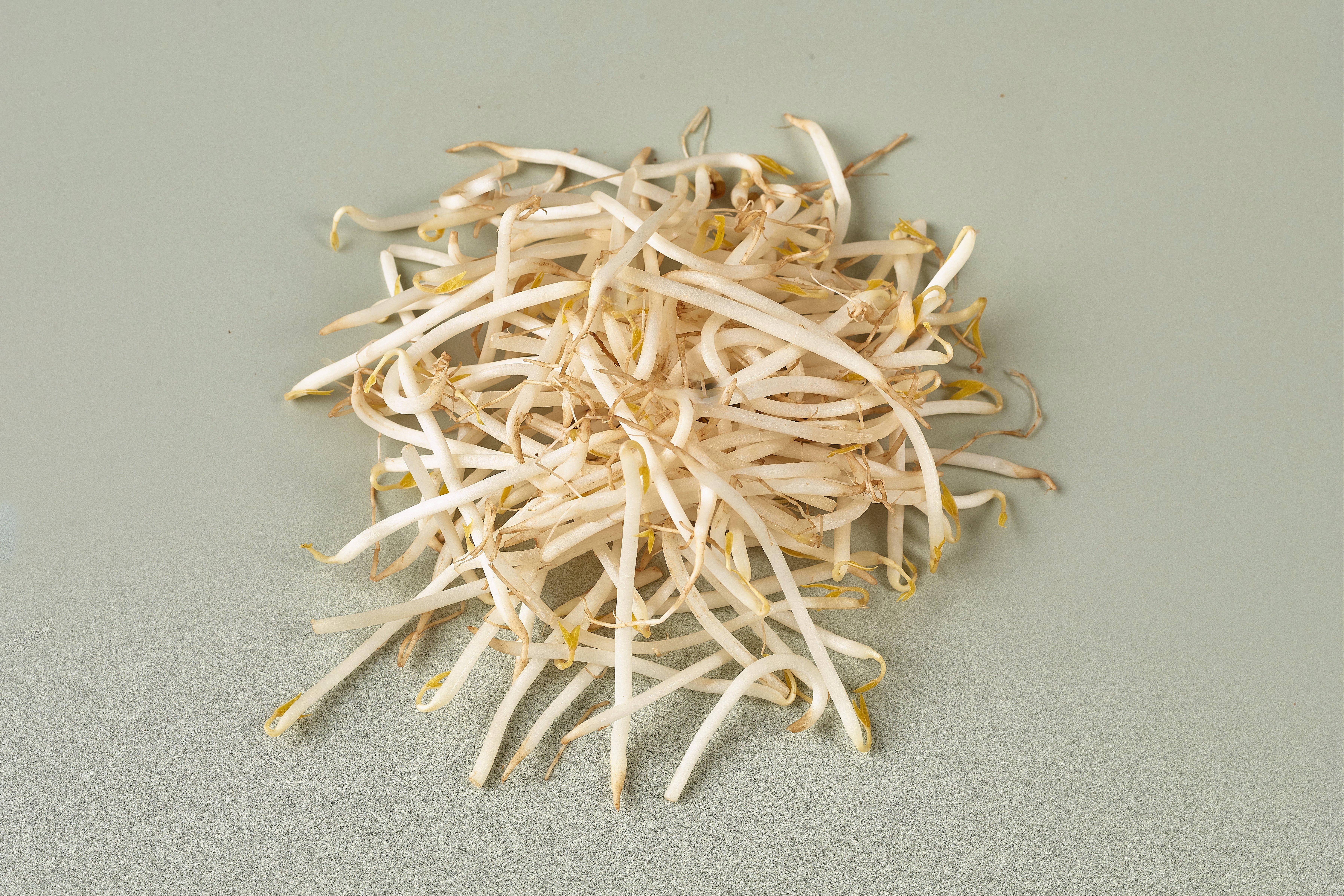 Beansprouts