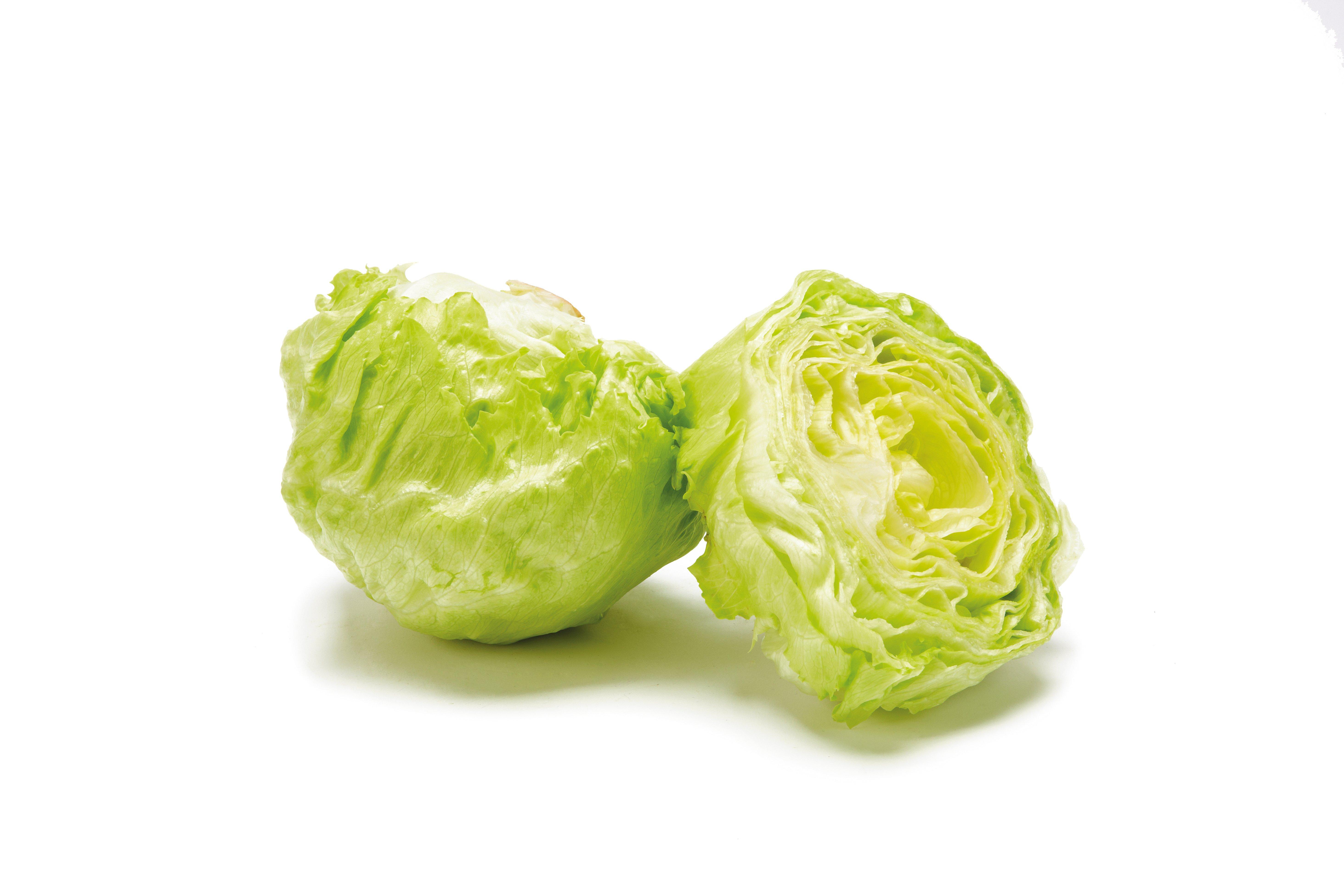 Iceberg Lettuce CLASS II